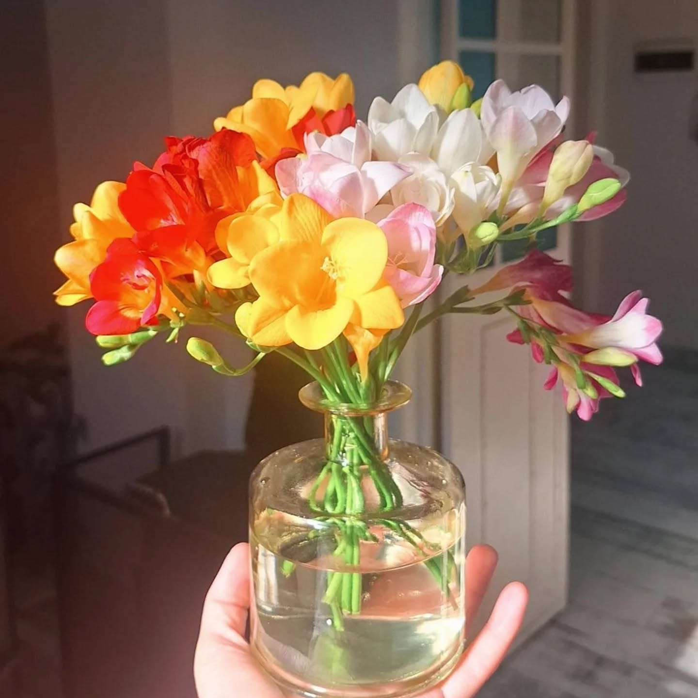 Inspirado en ustedes... esta el florero Amalfi en nuestra web!!🌻
#flores #flowers #amalficoast #emprendimiento #decoración