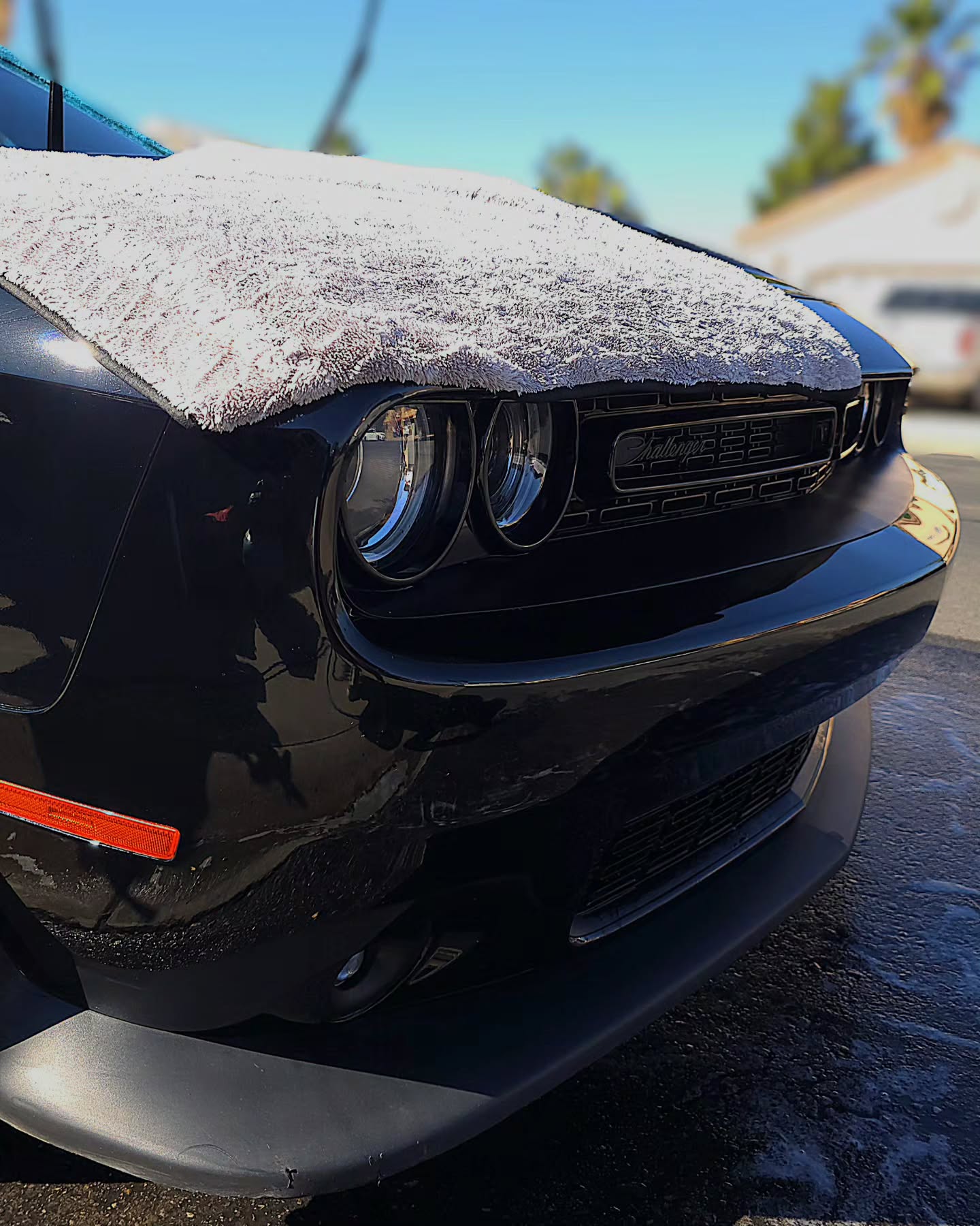 There’s nothing like stepping into a car that feels fresh every time you drive 🚘✨
This Dodge Challenger receives regular maintenance detailing, keeping it sharp, protected, and always ready to impress.
✅ No buildup or stubborn stains
✅ Longer-lasting paint & interior
✅ That “new car feeling” all year round
Ready to enjoy your ride again? DM us today to get started 📲
Are you in the need for a detail?