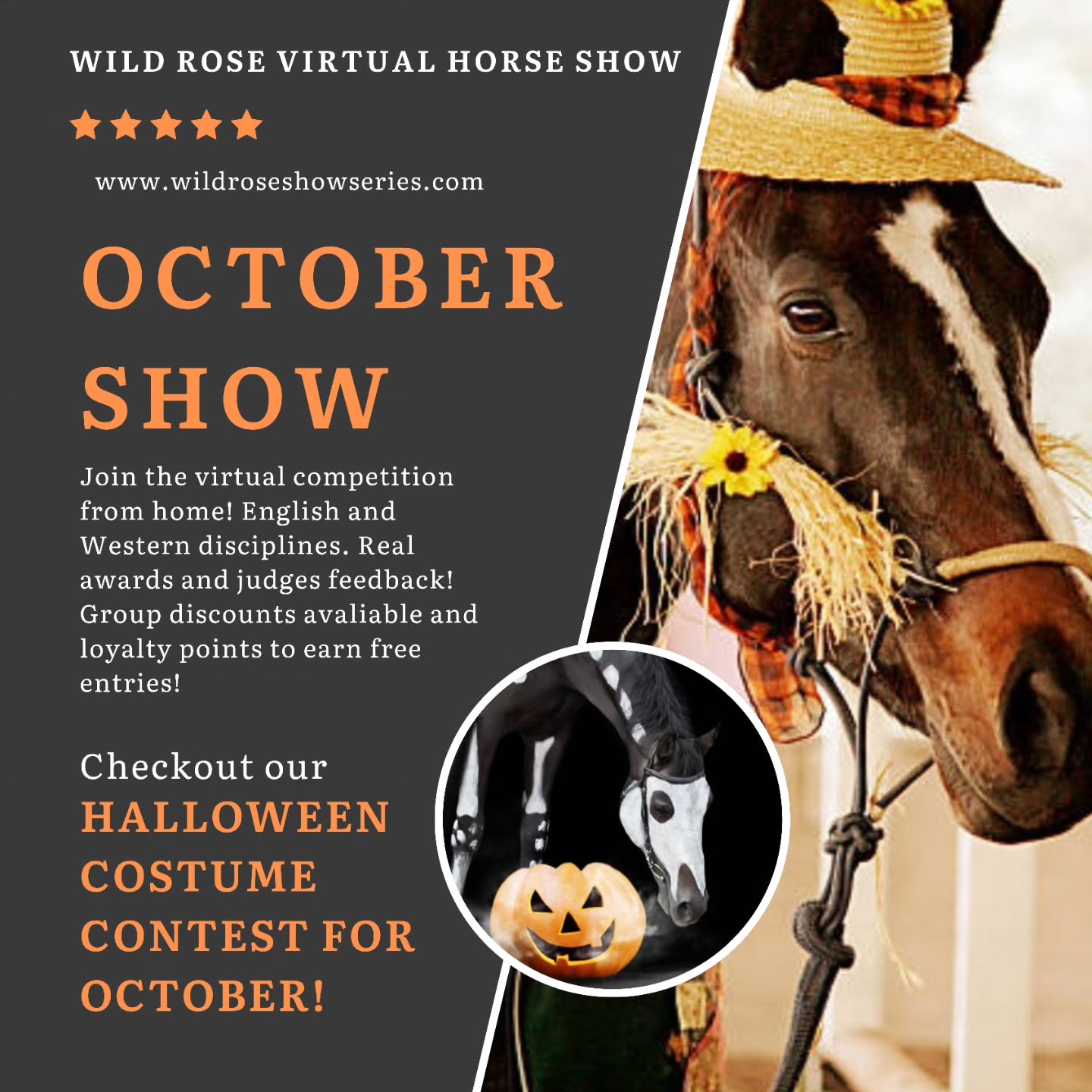 🎃👻 October Show is Now Open! 👻🎃
Get ready for some spooky fun — our October Virtual Show is officially open for entries! This month features a special Halloween event where riders and horses can dress up in their best costumes and compete for exclusive Halloween-themed ribbons! 🧡🕸️
Whether you go for funny, creative, or downright spooky — we can’t wait to see your Halloween spirit shine in the show ring! 🐴✨
📅 Enter today and join the fun at: www.wildroseshowseries.com
🧙♀️ Costume creativity is encouraged!
#VirtualHorseShow #HalloweenHorseShow #EquestrianFun #RideFromHome #ShowYourSpookySide #wildrosevirtualhorseshow #virtualshowing #VirtualHorseShow