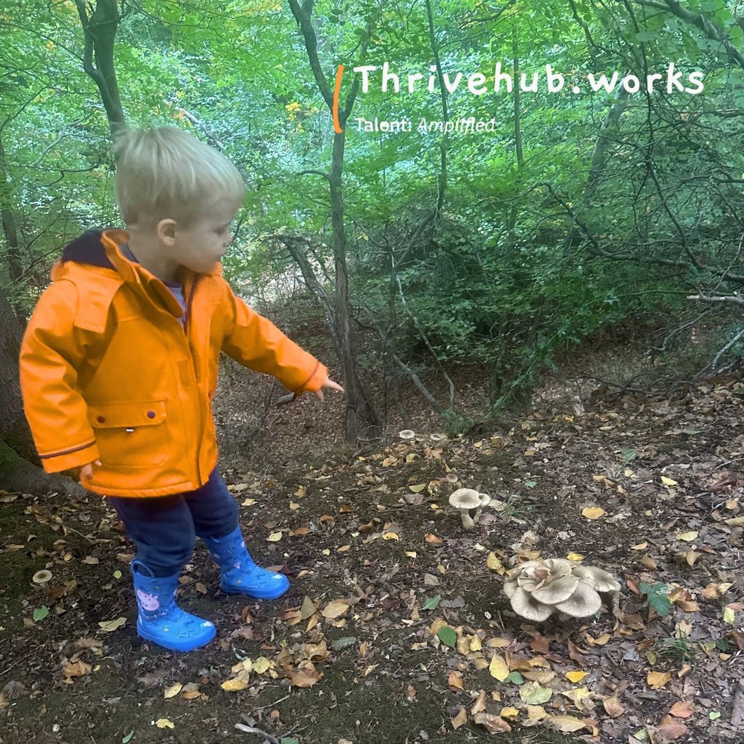 Happy Monday and for those of you HR people on your job search, here's a list of current vacancies. Should save you a few moments this morning :)
*The salaries were sometimes harder to find than the 27,000 mushrooms Arthur pointed out on our weekend walk, but good to see more and more have salaries included.