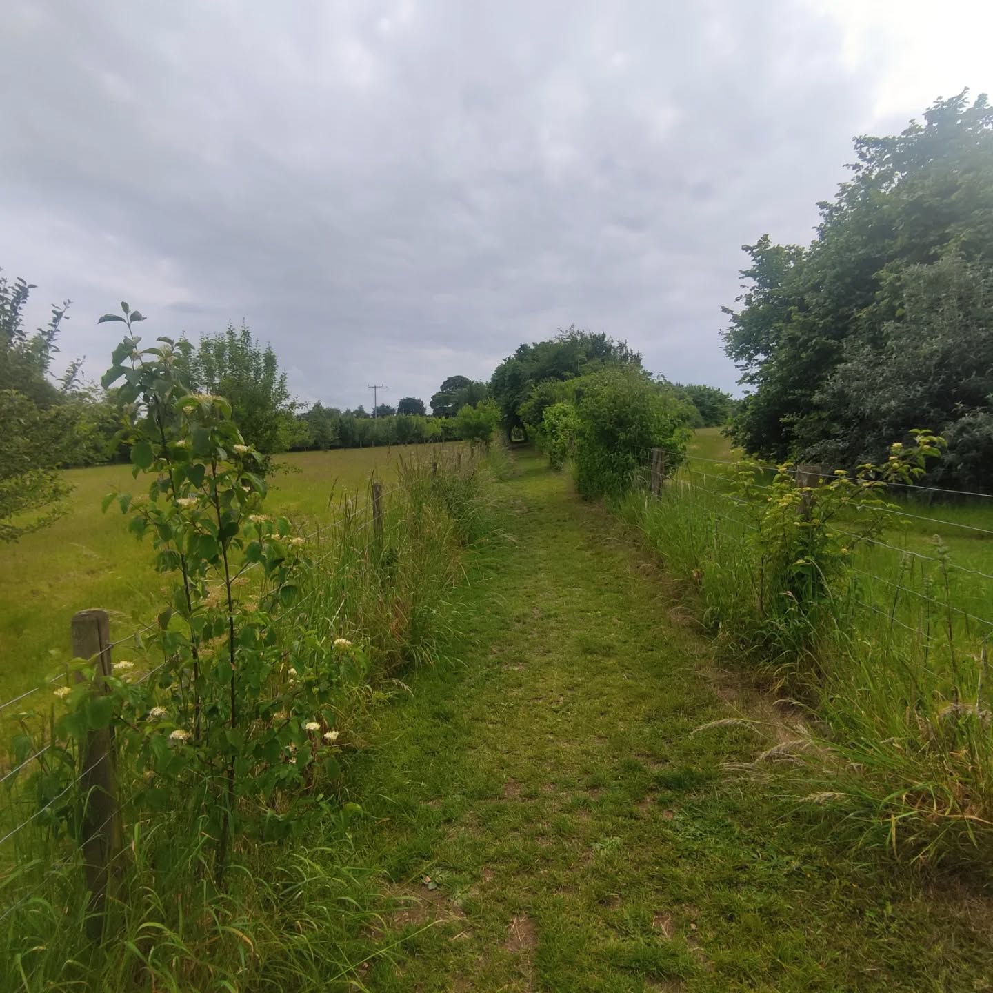 Holding on to summer 🌻
Reminiscing about the Cotswolds — its lovely walks, chicks, and festival buzz…
Had such a blast working at @longboroughfestivalopera again this summer, alongside the best bunch 🥲 We had so much fun on @lou.ise.bak.ker's brilliant production of The Barber of Seville!
Always feeling grateful to do a job that lets me meet so many wonderful people and takes me to such beautiful places 💚
(I promise there were sunny days — I just somehow managed to delete every single photo that proved it)
Until we meet again 🍃