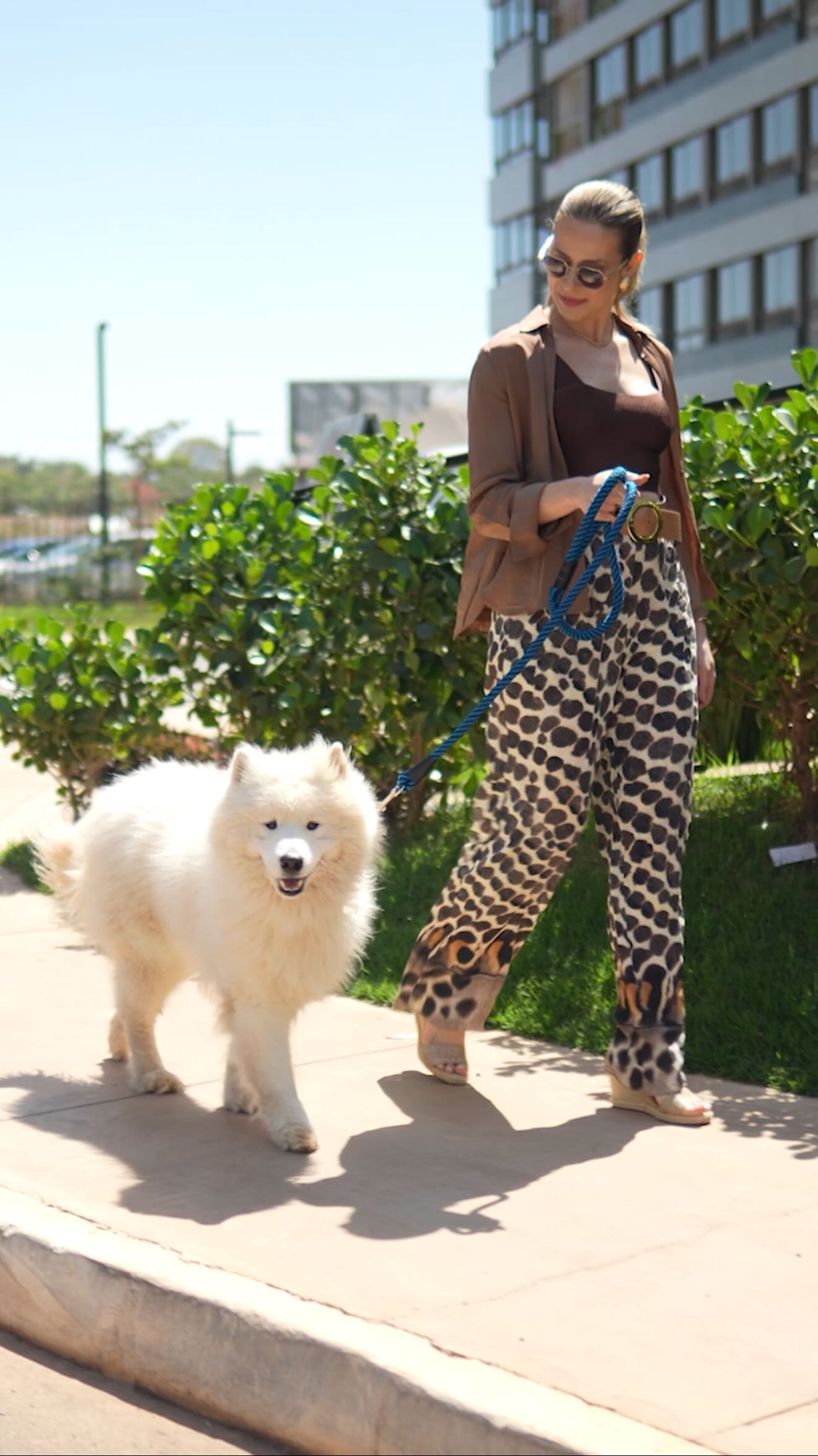 Um dia de SPA com o Logan ✨
Hoje foi dia de cuidar do Logan com todo o carinho que ele merece. Fomos até o Pet Care do @algarve.303 e já na chegada encontramos uma turma de aumigos muito especial. Tinha petiscos, lembrancinhas e aquele cuidado nos detalhes que faz toda a diferença.
Teve banho especial do @banhonosujao , muita espuma, paquera canina e até o encontro com o grande amor do Logan (@bxaviier_ , obrigada por esse momento ♥️ a Sugar é uma princesa!).
Enquanto isso, o Gugu aproveitava cada segundo, entre uma correria e outra na cama elástica.
O Pet Care do Algarve é um espaço completo pensado com afeto: banho, higienização das patinhas e até a possibilidade de atendimento veterinário em casa. Um cuidado que facilita a rotina e valoriza o bem-estar dos nossos pets.
E aproveitando: no dia 11 de outubro, das 9h às 13h, vai acontecer um evento especial para as crianças aqui no Algarve. Um momento leve, divertido e cheio de surpresas para toda a família.
Espero te ver por lá.