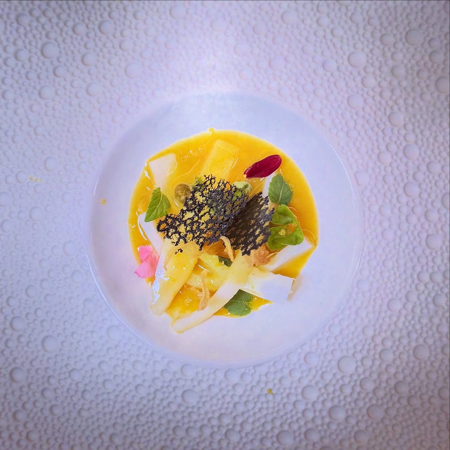 Squid confit in aromatic oils, sliced and dressed with a beurre d’or of saffron, lemon, anchovy, and cantaloupe with capers, pine nuts, shiso, crisped ginger and tuiles of squid ink.
Giove
“Jupiter’s silver seemed embossed with gold … surging, more than a thousand lights, some high, some low, just as the Sun kindles them assigned positions.”
#dante #paradiso #canto18