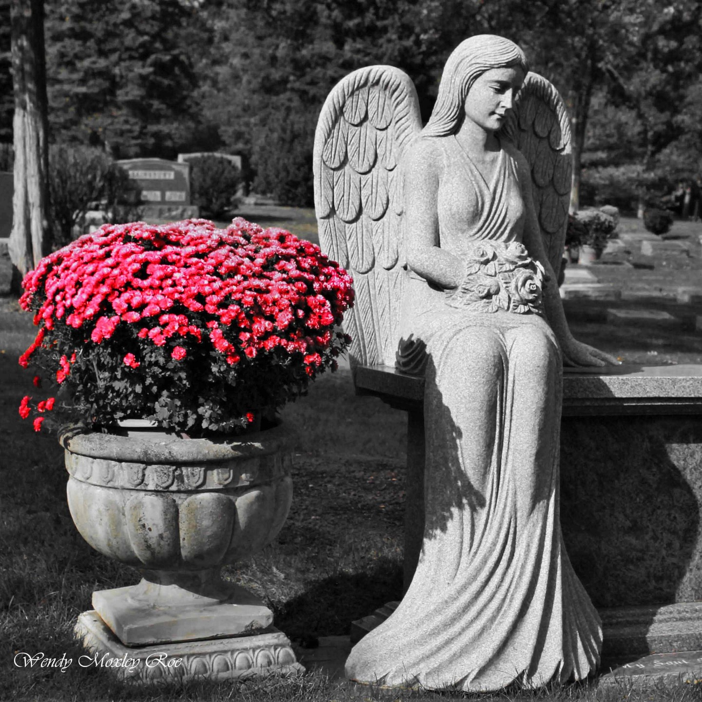 Bronswood Cemetery, Oak Brook, IL
#cemetery_photography #cemeteryphotos #cemeteryscapes #cemeteryscene #cemeterystrolls #cemeteryphotographer #cemeterytravels #illinoiscemeteries #uniquememorials #chicagocemeteryphotography #chicagocemeterycrawlers #tombstonetravels #taphophile #angel #stoneangel #cemeteryangel