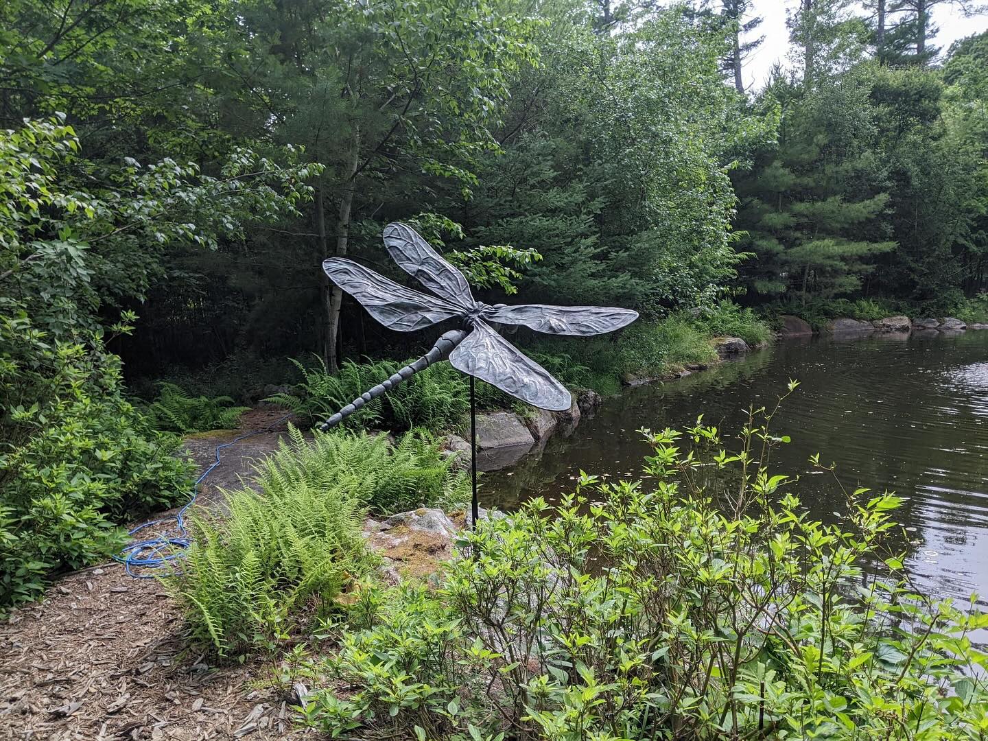 “Dragonfly” 1/10 Bronze
Installation view 
#veeverscarter #digbyveeverscarter #downeast #bronzesculpture #gardensculpture #somersetsculpture