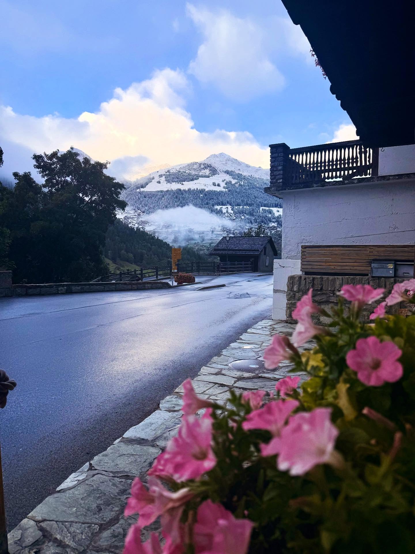 A nice surprise outside the Bergère this morning ❄️ ❄️❄️
#nippy #firstsnow #autumnflowers #autumncolours #mountainviews #sundaywalks #fresh🥶