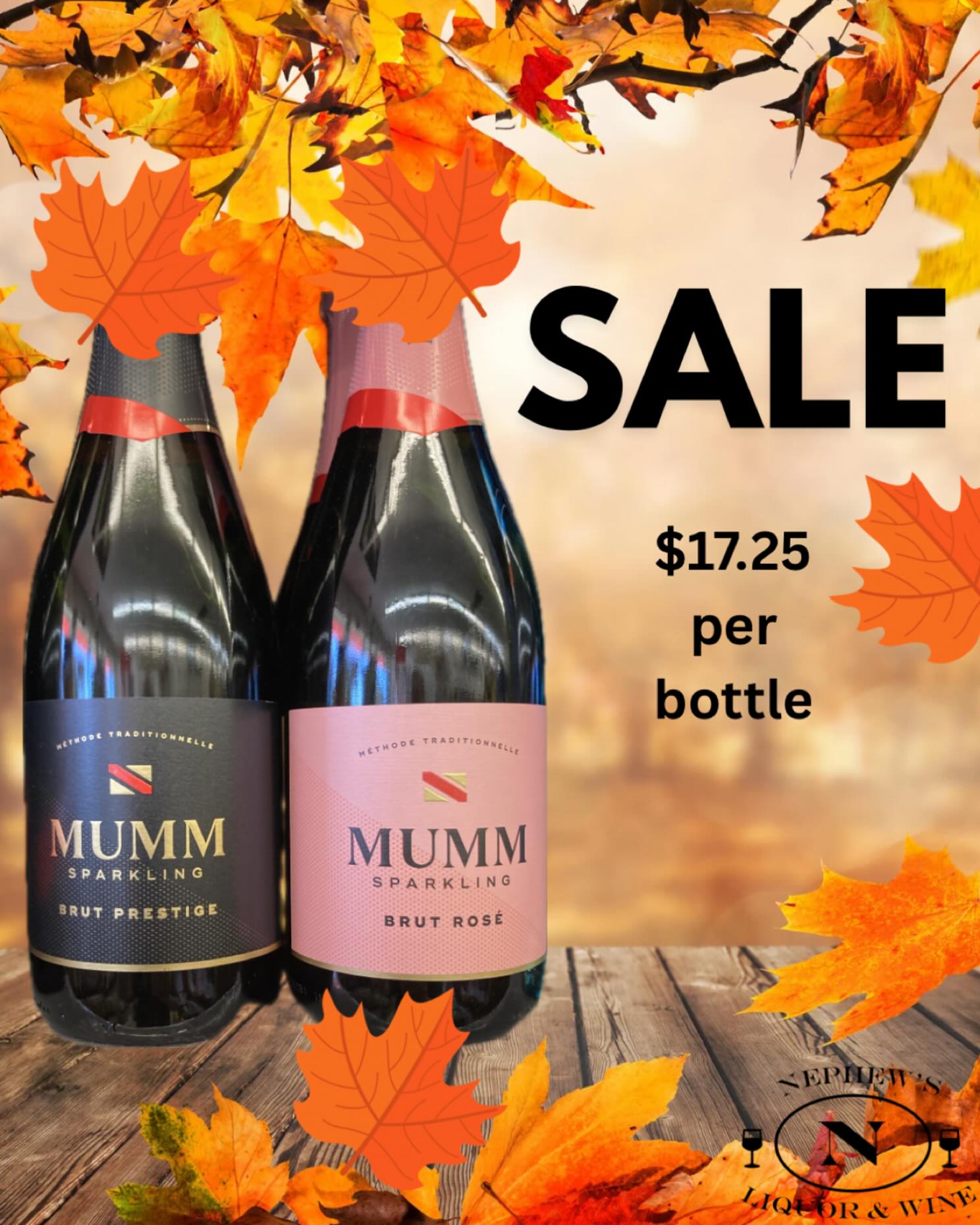 We love to share a great sale price with you! 🥂 @mummsparkling #mummsparkling#sparklingwine#upstateny#champlainny#lakechamplain#adirondackmountains