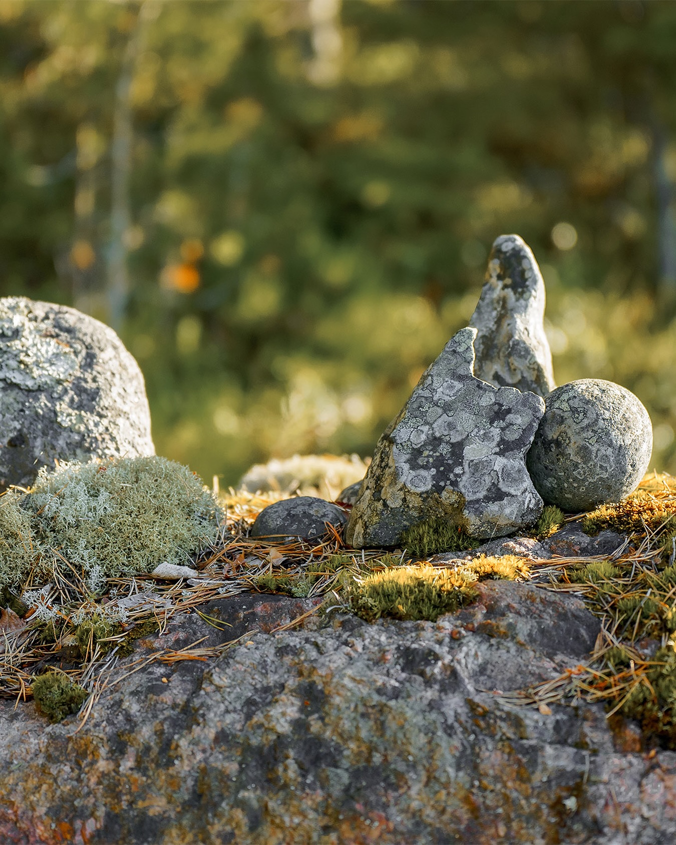 Tarvitsetko kyytiÀ saaristossa?
SeaSportin taksivene vie sinut vaivattomasti mökille, saaristoretkelle â ja kyytiin mahtuu myös pyörĂ€ tai vaikka mönkkĂ€ri
â
Sujuvaa taksivenepalvelua Porvoon saaristossa
â
Tilaa mukavasti jopa 10 matkustajalle
đ Lue lisÀÀ: seasport.fi
Varaa helposti ottamalla yhteyttÀ Johnnyyn:
âïž seasport.oy@gmail.com
đ 044 5349937
#SeaSport #VisitPorvoo #VisitPellinge #Porvoonsaaristo #Porvoo #BorgÄ #Pellinge #Pellinki #taksivene #boattaxi #seataxi #taxivene