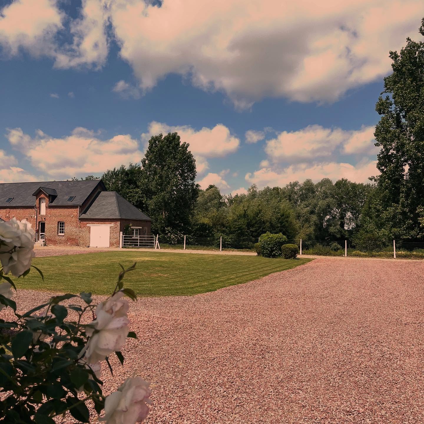 #domaine1687 #mariage #champetre #chic #boheme #nature #foret #domaine #evenement #guest #event #weeding #france