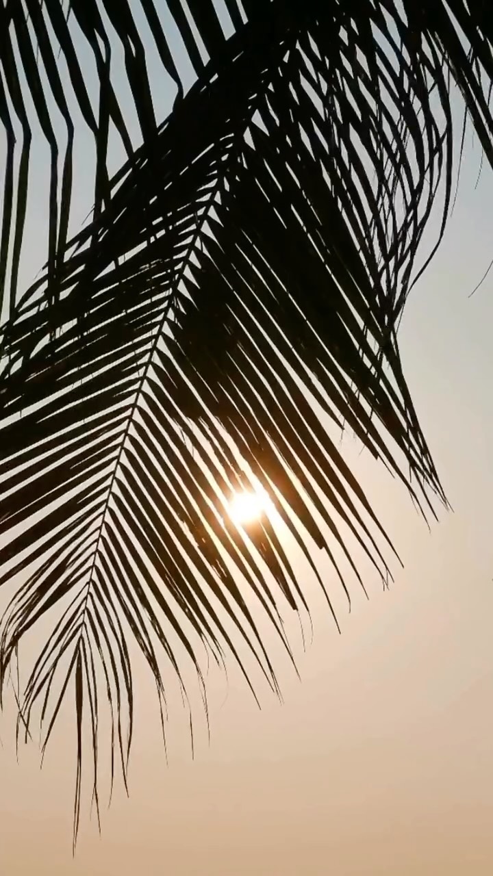 From boat to room, each detail unfolds gently at Avantgarde Refined Yalıkavak. The shimmer of the sea, swaying palms, and sunlit steps set the tone for moments of quiet ease that define an Aegean summer.
#AvantgardeRefined #refinedjourneys