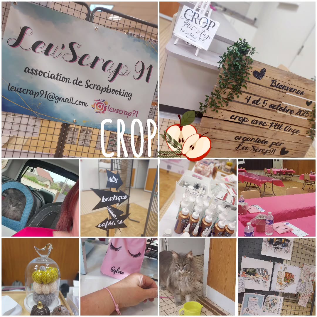 🚗Première sortie boutique après 3 mois sans... 😅
Merci aux participantes qui sont passées nous rendre visite à la boutique lors de la crop de l'association @leuscrap91 avec Sandrine alias @ptit_angescrap organisée par Isabelle @yza.bl , également à celles venues de l'extérieur qui ont profité de notre venue pour se faire plaisir 🥰
Nous avons revues de belles personnes et aussi parlé chat... 😻😹
Toujours un accueil et une organisation au top !!!
Tanya 😻 vous fait des petites léchouilles de bisous-chat pour vos petites attentions durant ce week-end. Une sortie exceptionnelle pour elle ... 😺 même si le scrap ne l'intéresse pas vraiment malgré ses nombreux sauts habituels sur le bureau de sa maîtresse quand elle scrappe.... 😅
Bonne continuation à votre belle association.
#creascrapbysyl #crop #atelier #boutiquescrap #scrap #scrapbooking #rencontres #passionnées #mapetiteboutique #passioncréative