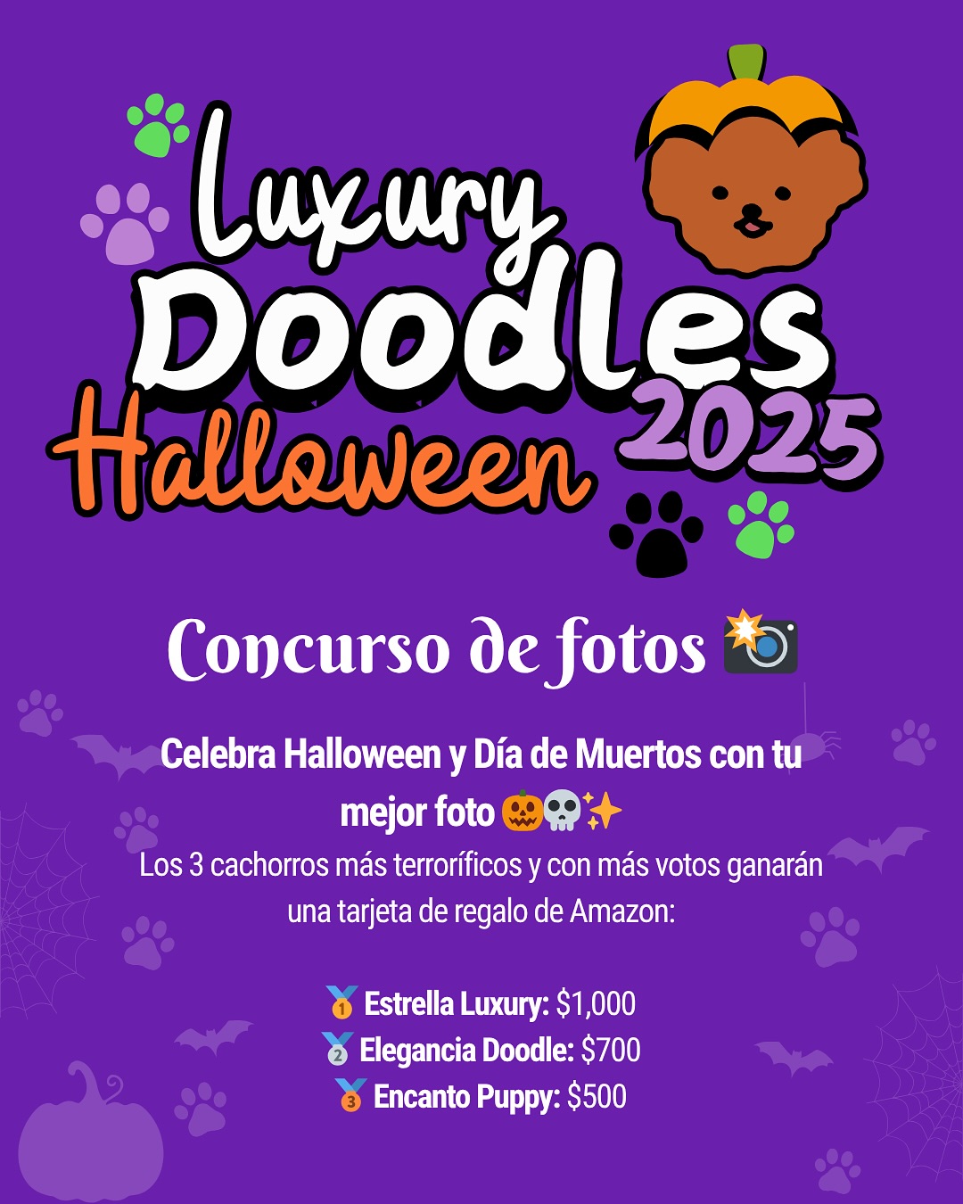 🎃✨ CONCURSO DE FOTOS LUXURY DOODLES 2025 ✨🐾
¡Llegó nuestra temporada más divertida! 💜
Celebra Halloween y Día de Muertos participando en el Concurso de Fotos Luxury Doodles 2025.
📸 Cómo participar:
1️⃣ Tómale una foto a tu cachorro Luxury Doodles (¡puede ser normal o disfrazado!).
2️⃣ Envíala por mensaje o súbela al enlace de participación.
3️⃣ Déjanos tu reseña en Google mencionando el nombre de tu cachorro.
4️⃣ Síguenos en Instagram y dale ❤️ a esta publicación.
🎁 Premios:
🥇 Estrella Luxury – $1,000 Amazon
🥈 Elegancia Doodle – $700 Amazon
🥉 Encanto Puppy – $500 Amazon
📅 Fechas importantes:
•Participa del 5 de octubre al 5 de noviembre de 2025
•Ganadores anunciados el 6 de noviembre
👑 Exclusivo para familias Luxury Doodles México
✨ ¡Queremos ver a todos los cachorros Luxury celebrando con estilo!