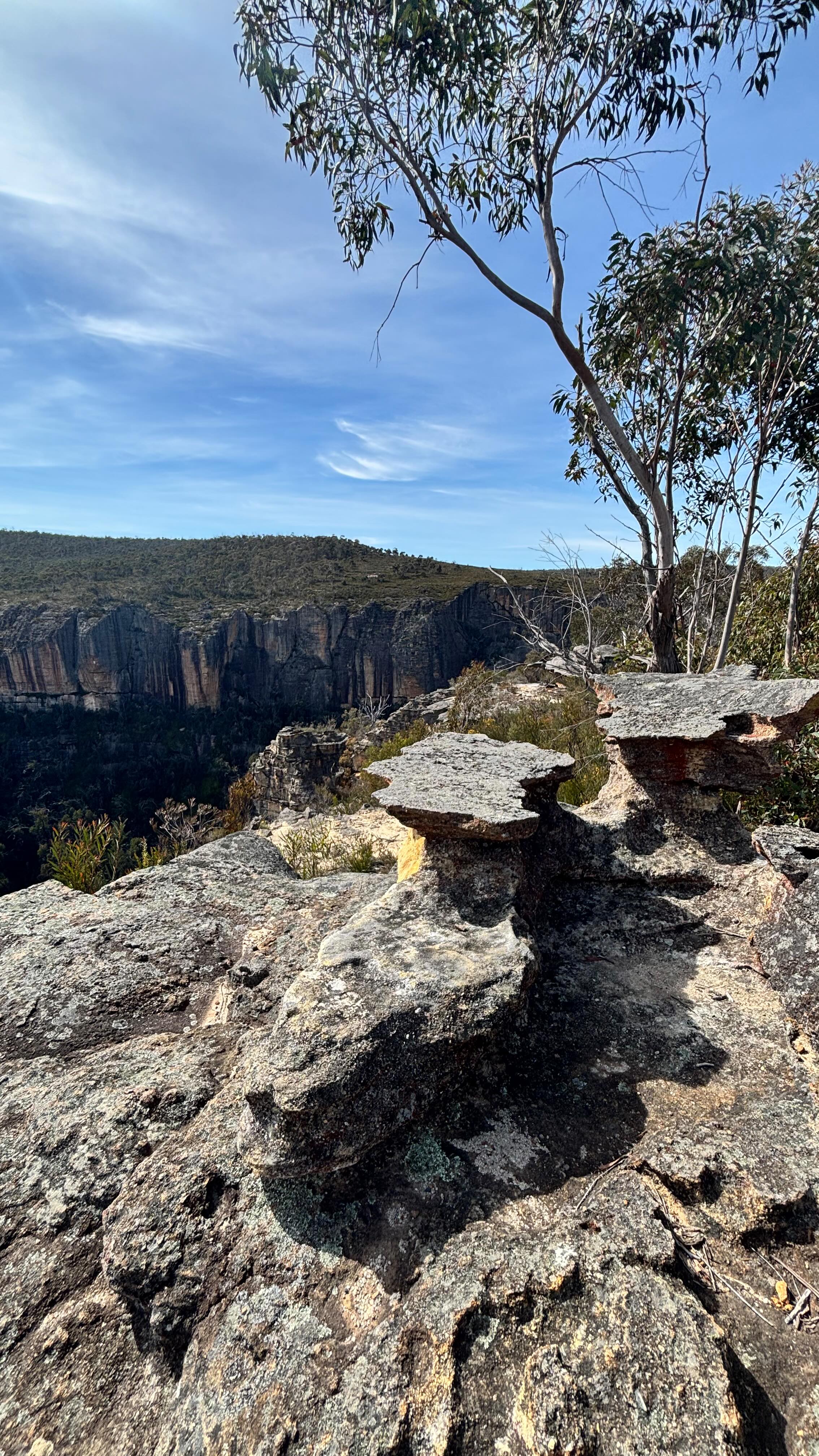 The newly opened Birds Rock to Broad Swamp Trail did not disappoint! 🌿 Just finished my reccy and it’s a stunner. Rugged gullies, sweeping sandstone views, wildflowers and a real sense of untouched wild beauty.
It’s one of those trails that makes you feel small (in the best way) surrounded by nature’s quiet power. I’d love to go back and lead you through it once the campsites are built. Let’s make it a two-day adventure under the stars ✨
#SeekSista #BirdRockToBroadSwamp #NewTrail #GardensOfStone #BushwalkNSW #WomenWhoHike #OutdoorWomen #ExploreNSW #WildPlaces #TrailDiscovery #SeekOutdoors #HikeNSW #AdventureTogether #NatureTherapy #WeekendHike #BlueMountainsNSW #EcoEscape #WildAustralia #FreshAirFix #TrailVibes #WildernessWalk #NatureConnection #BushwalkingCommunity #HiddenNSW #OutdoorInspiration #SlowAdventure #GetOutside #HikingAustralia #TrailLove