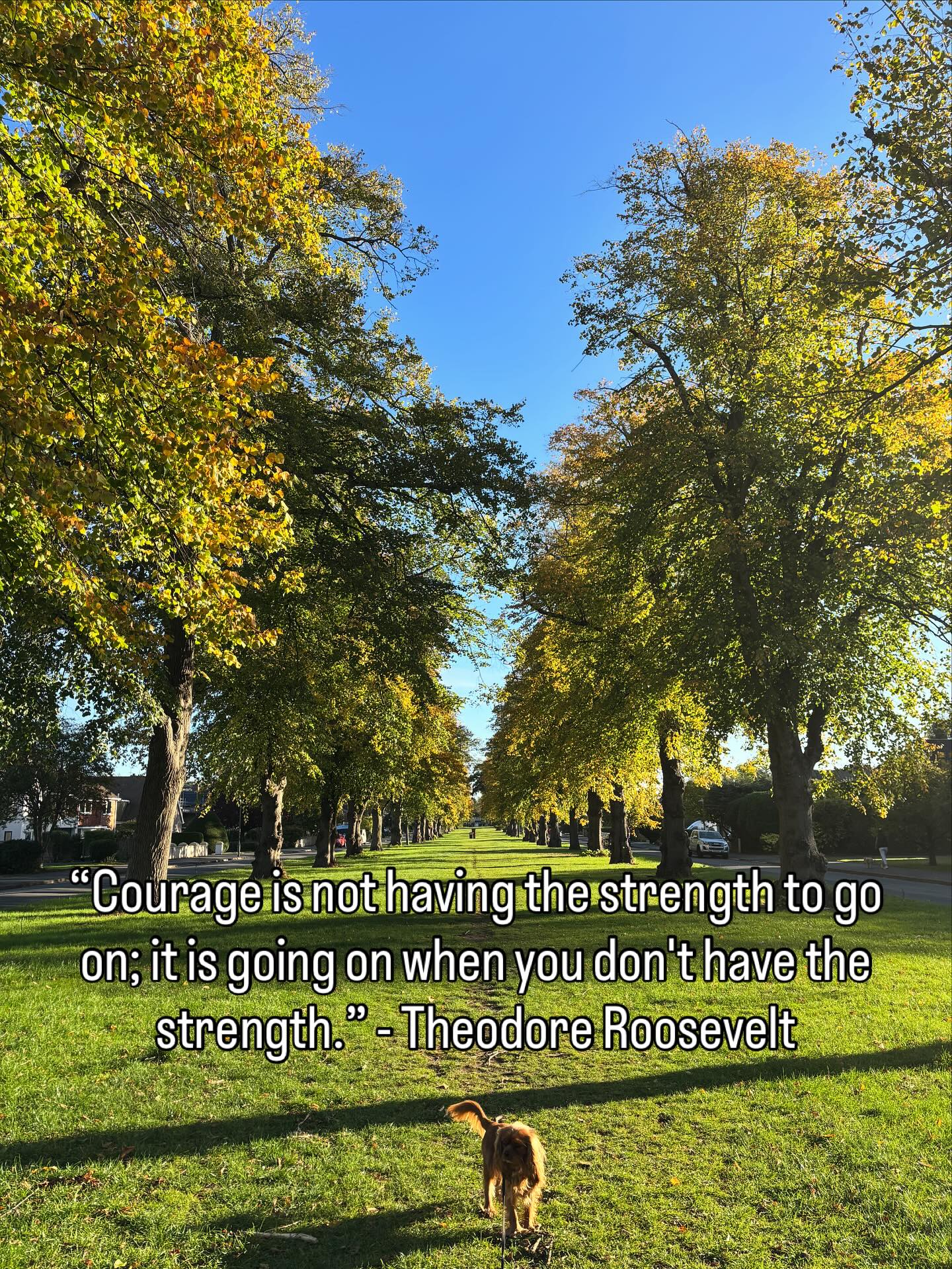 I have worked non stop since January on my masters dissertation
Although I’ve loved the learning, It has not been an easy process with many challenges along the way which has at times really affected my mental health making me question the decision to do a dissertation
Although I’m nearing the end there’s still so much to get through which at times feels overwhelming and impossible but having come so far quitting is not an option
I just need the strength and resilience to get me through next 3 months
Instagram posts are having to take a backseat
I’ll be very relieved when it’s finished 😊
#courage
#perseverance
#determination
#resilience