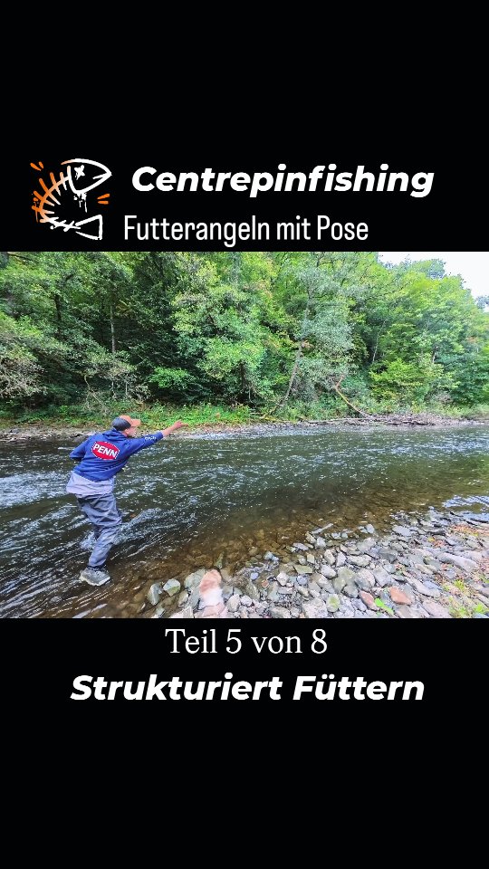 Fudda bei die Fische aber richtig.
Das anlegen einer Futterspur erfordert Präzision.
Wir wollen die Fische ja möglichst eng stellen, um eine gute Bissfrequenz zu provozieren🙂
Wer die Stelle so auswählen kann, dass gleich zwei Spuren aufgebaut werden können umso besser👍 Bedenkt dabei aber auch den doppelten Futtereinsatz☝️Kann ins Geld gehen und muss vorallem geschleppt werden😀
Das aufbauen an sich ist nicht kompliziert. Das unterhalten einer laufenden Spur schon eher😉
Ein Barbendrill dauert an meinen Gewässern schonmal bis zu 45min. Da ist es wichtig auch während des Drills weiter zu füttern! Organisation ist das A und O👌 Wer konsequent weiter füttert und den Platz auch mal ruhen lässt, wird sicher belohnt werden🫡
#Futterplatzangeln #futterstrategie #futtetangeln #herbstangeln #zielfisch #flussangeln #centrepinangling #centrepin #centrepinfishing #posenangeln #treibangeln #driftangeln #strömungsangeln #tacticalfeeder #anfüttern #riverfishing #barbe #döbel #zährte #naturefishing #oldschoolfishing