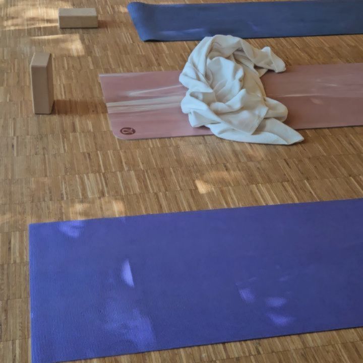 Bye September. 🍂
Ein bunter Monat, in der Natur und im Kalender.
Ein Monat, der für mich persönlich so rund war, so ausbalanciert. In dem ich der Einladung nach innen zu lauschen gefolgt bin.
• Yoga Tagesretreat am Lieblingsort (last one - 18.10. ~ Warteliste)
• Yoga Brunch mit leckerstem Essen (last one: 30.11 ~ Infos Link in Bio) @alavu.restaurant
• Endlich wieder ein Bergtag.
• systemische Coachingausbildung Modul 5
• erste After Work Grouprides für mich
• Yoga Privatstunden und wieder daran erinnert werden, wie schön es ist jemanden so eng begleiten zu dürfen
• Längste Radtour so far, Bilderbuchfahrt bei 29°C Ende September. 245km Genuss & Kampf, in den Seen planschen, im Windschatten abstrampeln.
• 5.Jahreszeit, eine Liebe die abflacht und trotzdem irgendwo für immer bleibt. Nur anders.
• Freies Wochenende für mich und mein Start in die Kürbissaison. Einmuckeln, in neuen Büchern schmöckern, Yoga und Juice Dates.
• Vorfreude auf alle anstehenden Retreats und Events, zum Jahreswechsel haben wir tolle (Wiederholungstäter) Retreats. ♡
That said and reflected. I am blessed.
Danke an jede einzelne Nase die meinen September so bunt gemacht hat.
An all die Schüler und Retreatteilnehmer, die immer wieder mit dabei sind, ganz viel Liebe an Wiederholungstäter und 'Spreadtheword & love' Kunden.
.
.
.
.
.
#ahornboden
#dieeng #rennrad #gutsalmharlachberg #alavunittenau #yogabrunchregensburg #yogabrunchnovember #yogaretreatdezember #yogatagesretreat #systemischescoaching #coachingausbildung #coachingakademieberlin #oktoberfest # 5.Jahreszeit #kürbiszeit #walchensee❤️