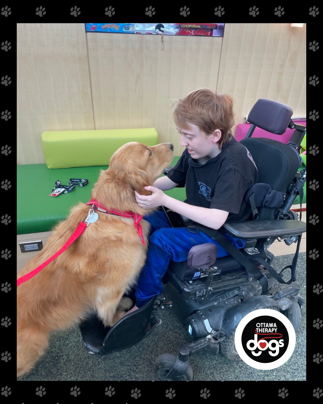 This was a sweet moment shared between Finn and his friend at @rogerneilsonchildrenshospice. Today is National Children’s Hospice Palliative Care Day, and we’re grateful that our therapy dog teams have the opportunity to make a difference in the lives of the children and families we support.❤️