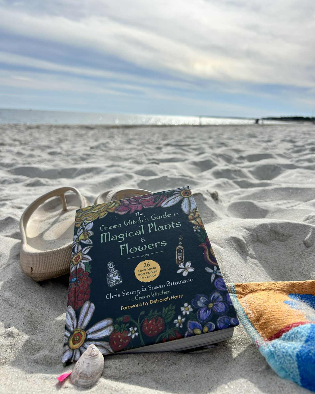 There’s still time to soak up Cape Cod’s magic 🌊✨ Join us for a fall escape at YCC — open through mid-October!