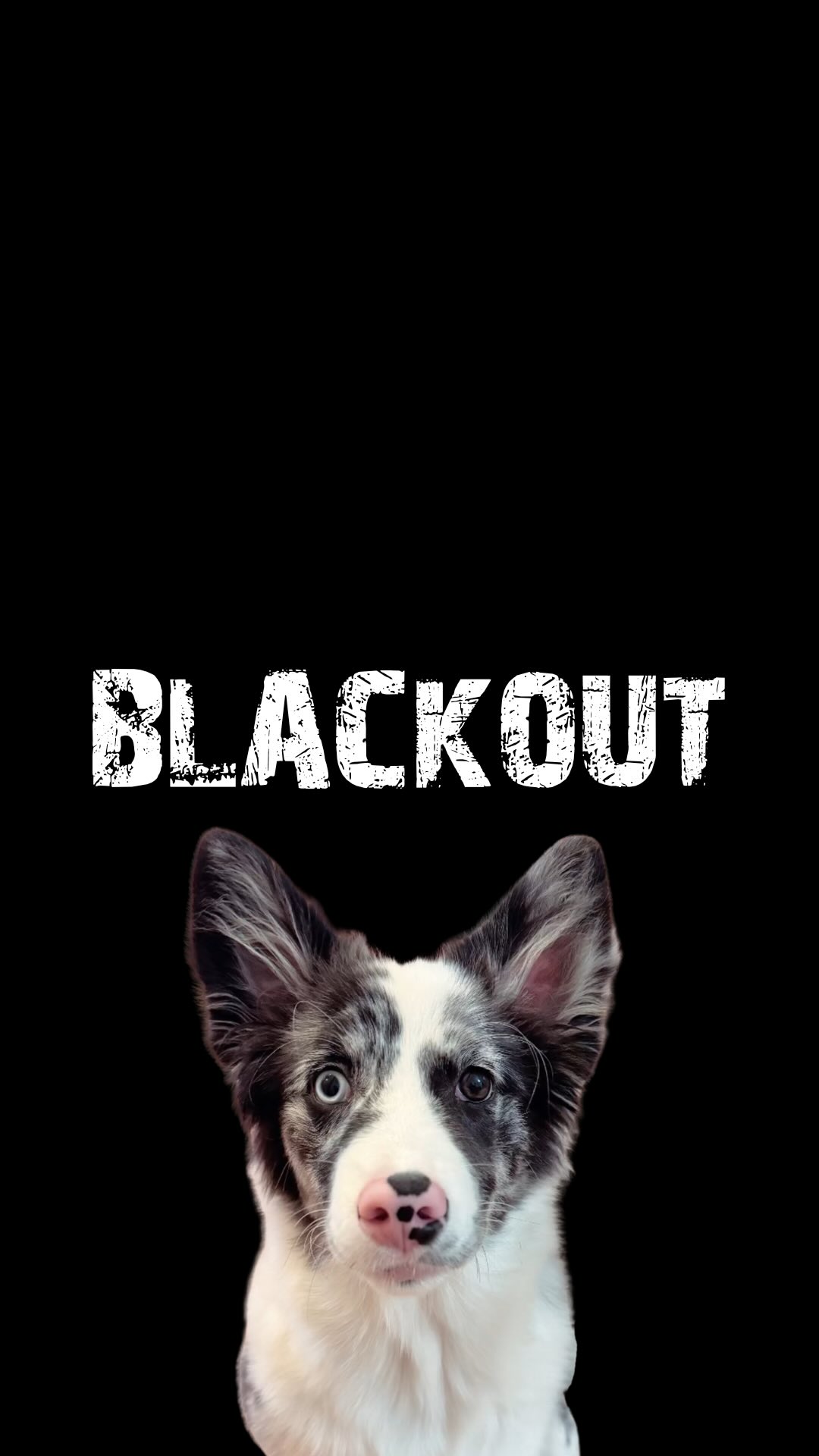 BLACKOUT není otázkou jestli, ale KDY⚫️
Zvládl/a bys zabezpečit svou rodinu? Svoje blízké? Svoje mazlíčky?🐾
Na našem Blackout kurzu tě připravíme na to, co většina lidí zjistí až bude pozdě.
Mrkni na náš web a měj jistotu, že budeš připravený/á až to bude nejvíce potřeba.
www.prpom.cz/blackout/