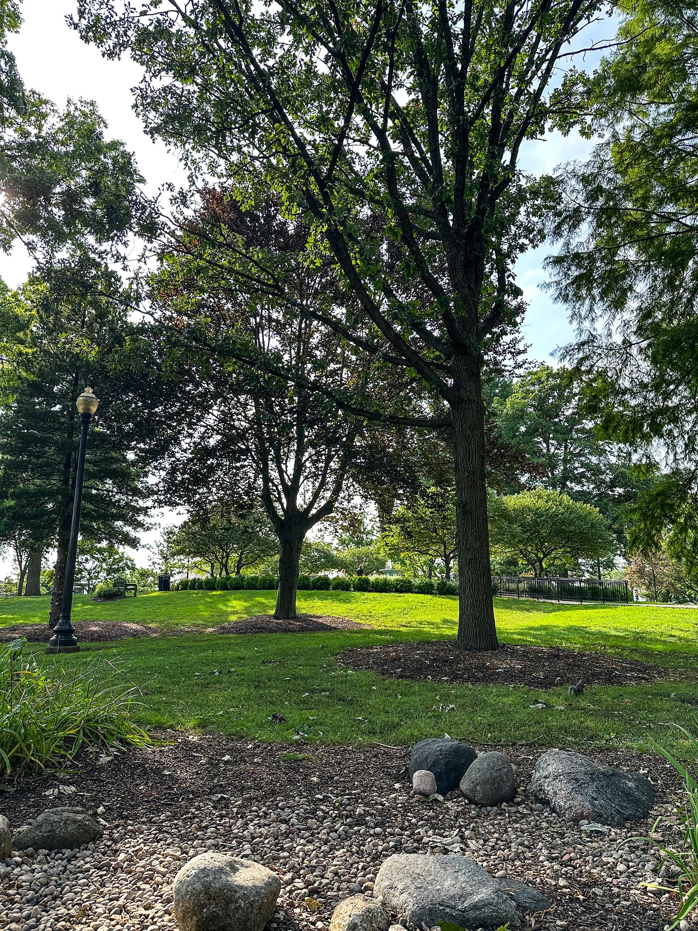 Finally getting around to finishing up the Chicago posts! On our last day in Chicago, we visited the @shedd_aquarium to see all the penguins, sharks, otters, etc in all their cuteness!! We then drove to Wheaton, IL and spent the afternoon walking around town. It was a short but fun weekend! Looking forward to my next Windy City visit
.
.
.
#visitchitown #MiddleofEverything #chicago #windycity #chitown #DiscoverDuPage