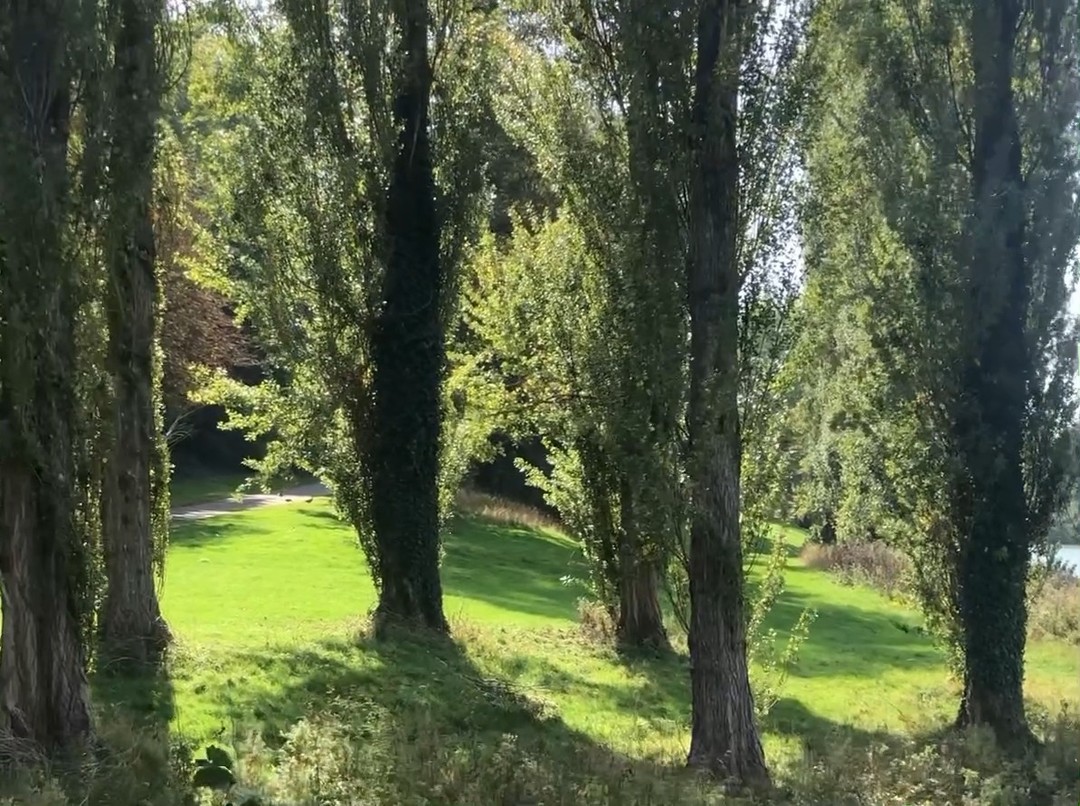 Can you spot the Column of Victory, above the ornamental lake created by blocking the River Glyme? These are clues that this is... ##blenheimpalace one of the great sites on the edge of the #cotswolds
#offbeatcotswolds #bluebadgeguide #bluebadgeguides
#britainsbestguides #Cotswolds #thecotswolds
#inthecotswolds #cotswoldcountry #Cotswolds_Culture #lovethecotswolds
#discoverthecotswolds #visitthecotswolds #discovercotswolds #cotswoldslife #cotswoldlife #thecotswolds
#your_cotswolds
#cotswolds #thecotswolds #cotswoldvillage #visitengland #englishvillage
#englishcountryside
#explore_britain_ #traveling_uk
#photosofengland #instabritain #europetravel