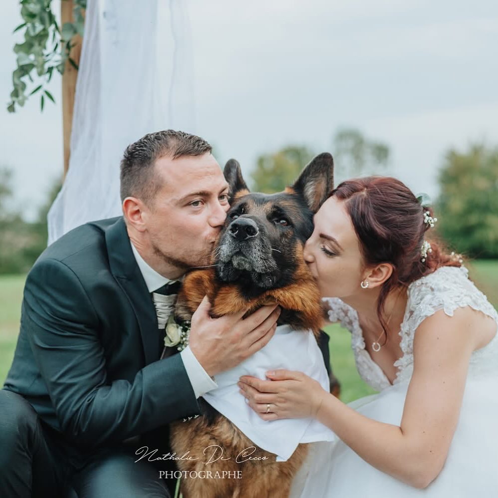 C’est beau l’amour 🥰
#wedding #wedding2025 #mariage #photographedemariage #weddingphotographer