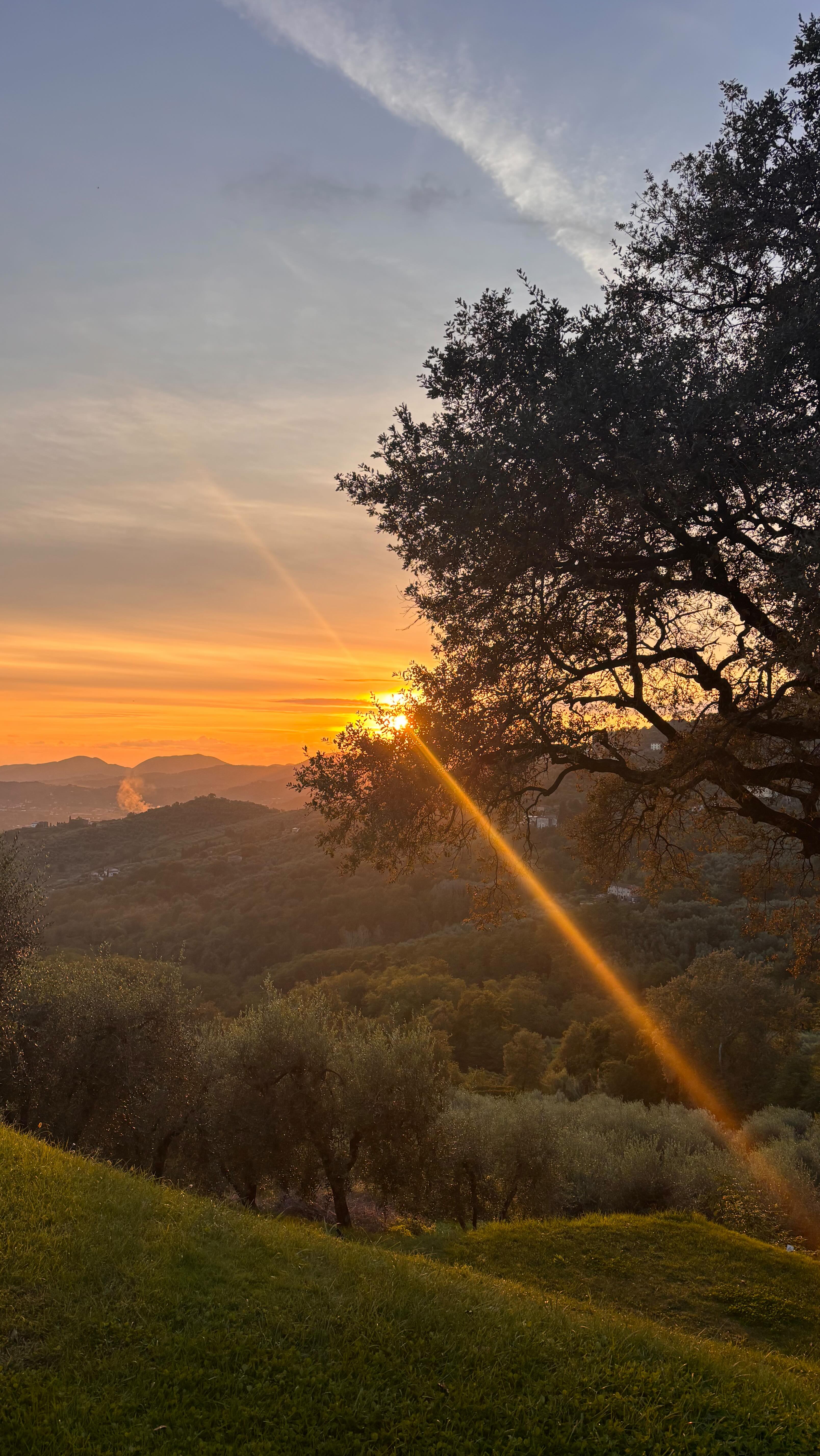 Under the Tuscan Sun 🔆
A weekend of restful scenes, full tummies and sunny strolls in the rolling hills outside Lucca with some of my favs 👯♀️
DM if this picturesque spot tickles your fancy!
This is either my 10th or 11th visit @forestaria
It’s so good, I’ve lost count!!
Nature | Food | Culture 🌿🍝🤌🏼🇮🇹