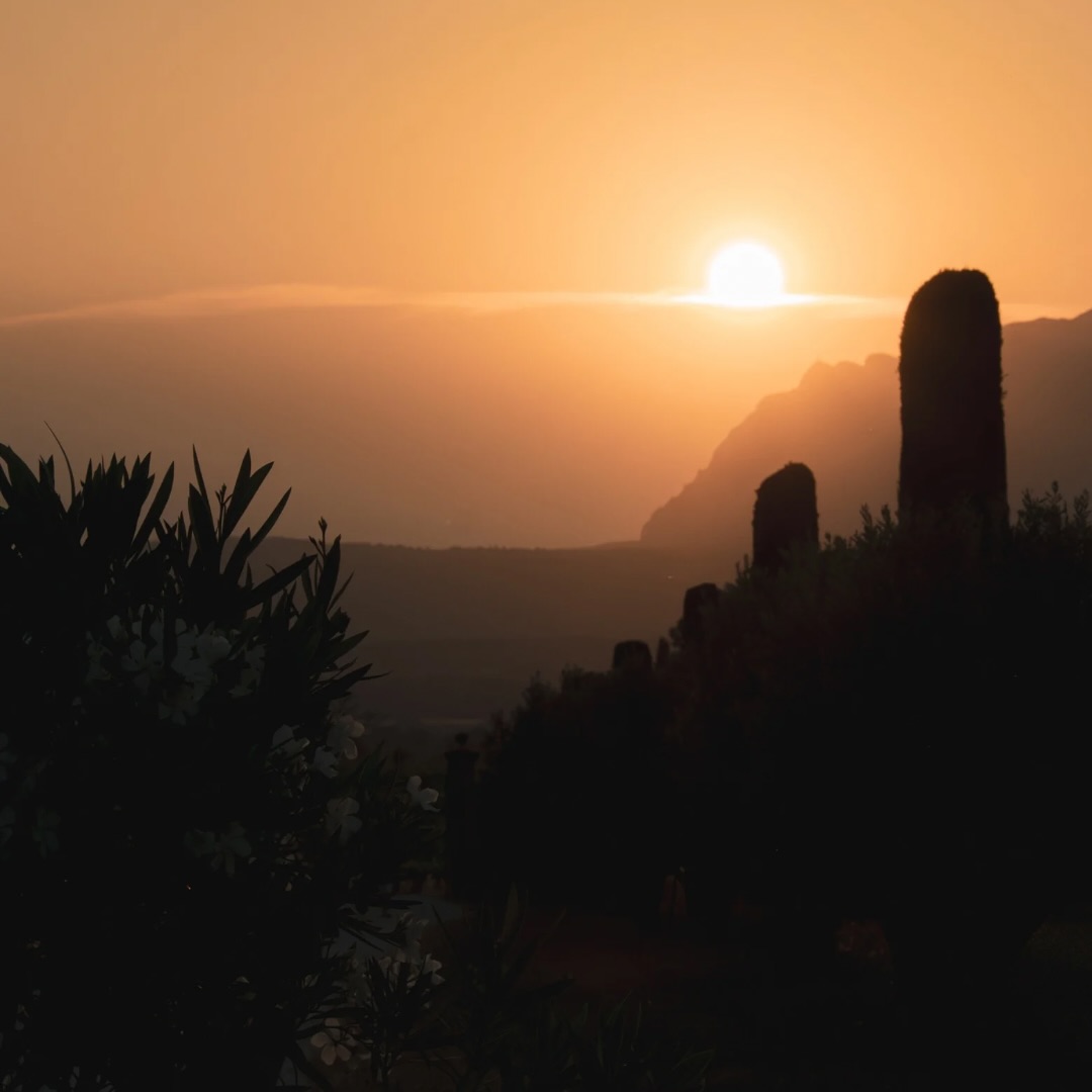 Golden hour, golden vibes ✨☀️
Et si votre réception se déroulait sous un ciel embrasé par le coucher du soleil ?
Un cadre unique, des invités émerveillés, une magie qui n’appartient qu’à vous 😊
Merci à notre partenaire 📸 🎥 @santiagof_wedding by @cruz_prod13 pour cette magnifique photo ! 🥰
Le Mas des Auréliens
📱 04 15 40 07 87
📩 contact@cotereception.fr
#SunsetLover#SunsetVibes #GoldenHour
#WeddingInProvence#MasdesAureliens
#Mariage2026#MariageEnProvence#WeddingDay