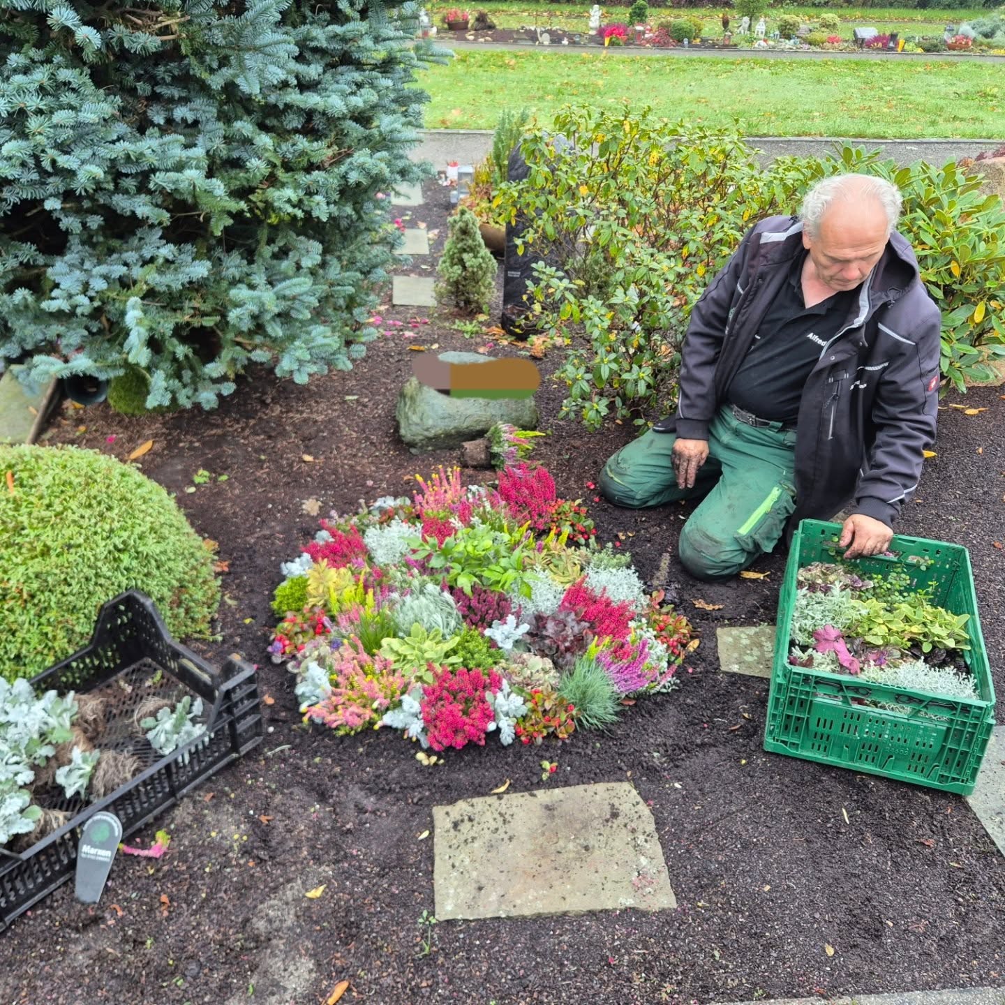 Es ist wieder so weit. Die Herbstbepflanzung auf dem Friedhof steht an.
Wenn Ihr auch Interesse an einer Bepflanzung oder einer Grabpflege habt, sprecht uns gerne an.
#galabaumarxen #friedhof #bepflanzung #Friedhof #grabpflege #herbstbepflanzung #calluna #buntebeete #gräser #grabgestaltung #herbstzauber