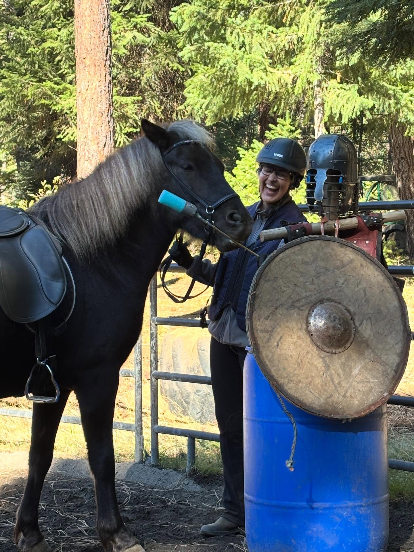 More pictures from our Viking Game Clinic last weekend 😃 #vinurfarm #vikinggames #clinicseason2025 #endofsummer #ridetogether #learntogether #growtogether