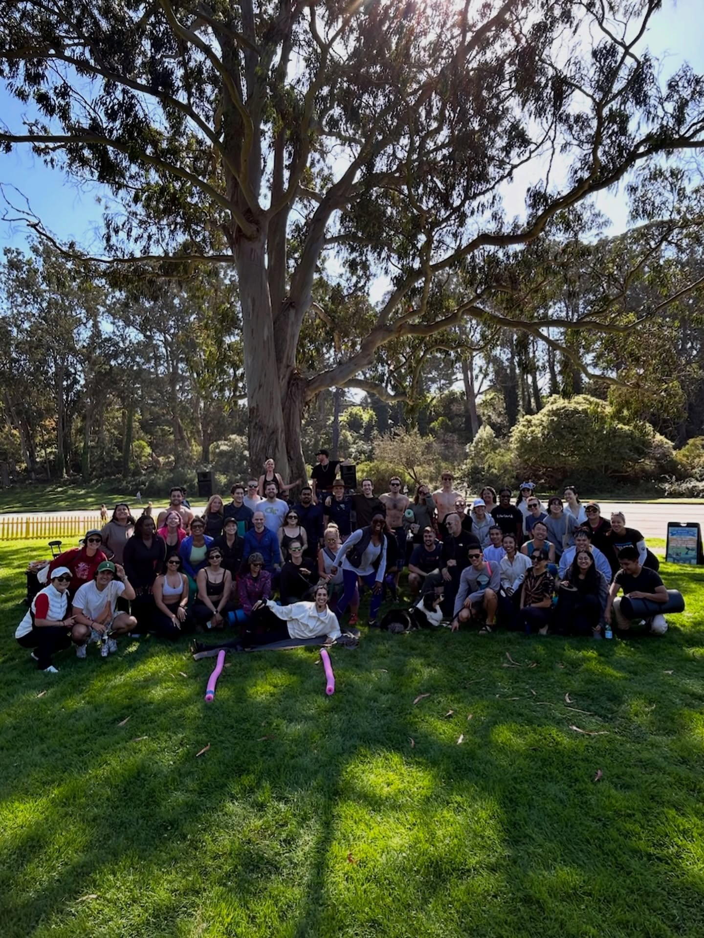 What an amazing season finale!!
Thank you everyone who came out to our final class of the year - we had over 80 people join us under the eucalyptus trees on a warm sunny San Francisco day.
We closed out the season with a magical sound bath from @sharkysugar while taking flight in crow pose✨
A huge thanks to @npu.live @illumin8live @sfrecpark @itsjohnnyfrommichigan @mattefinish @squeezeboldens and to everyone who came out all season long! 🫶❤️
See you next year!