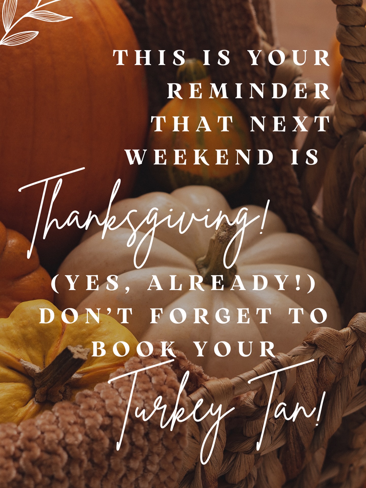 Don’t be mistaken for the turkey’s before pic 🦃 Book your tan now so Aunt Linda doesn’t ask at dinner if you’ve been getting enough sun 😏Link in Bio or shoot me a DM