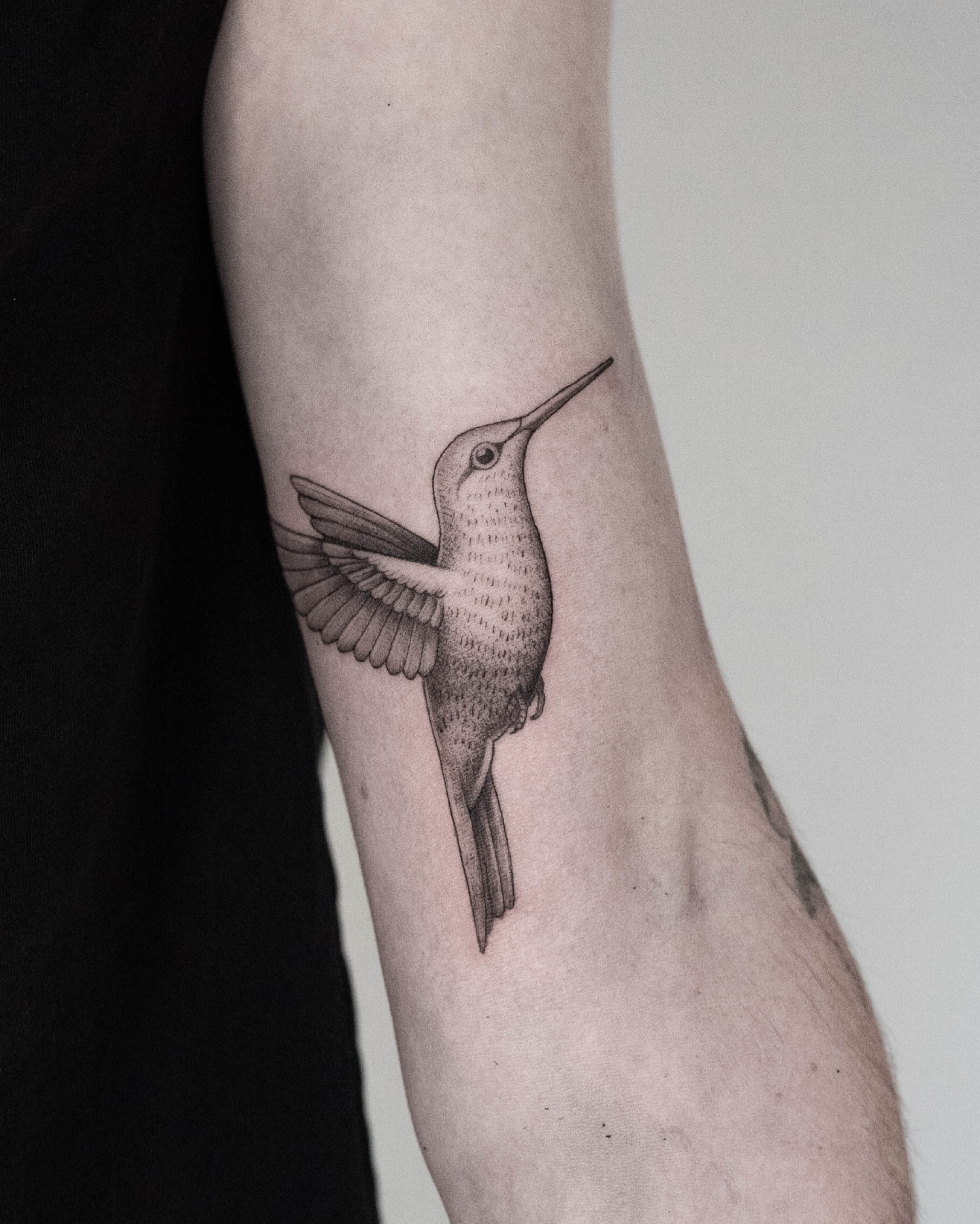 Hummingbird tattoo from a little while ago, thanks Niels for stopping by.
#hummingbird #hummingbirdtattoo #finelinetattoo #blackworktattoo #minimalistictattoo #tattooart #tattoodesign #flashtattoo #eindhoventattoo #tattooeindhoven #dutchtattooer #illustration #dotworktattoo #graphicdesign #blackwork #moderntattoo #tattoo