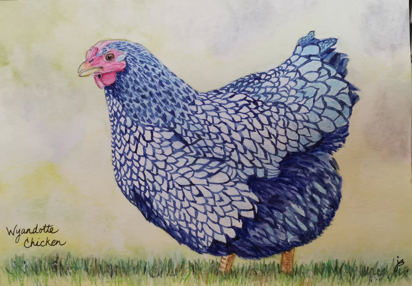 Day 4 Blue laced red Wyandotte chicken #Birdtober2025 #birdtober
This year I'm using watercolor, neocolors II, pencil crayons, charcoal, and gelly roll pens. Whatever floats my 🐦
I'm working on Clairefontaine watercolor paper 5.8x8.3" (A5) cold press paper.
@aholmesartstudio #ilovebirds #bird #birdartist #birdart #birddrawing #birdpainting #birdillustration #birdnerd #birbs #painting #drawing #illustration #birdchallenge #watercolorart #watercolorpainting #pencilsketch #fabercastell #clairefontainepaper