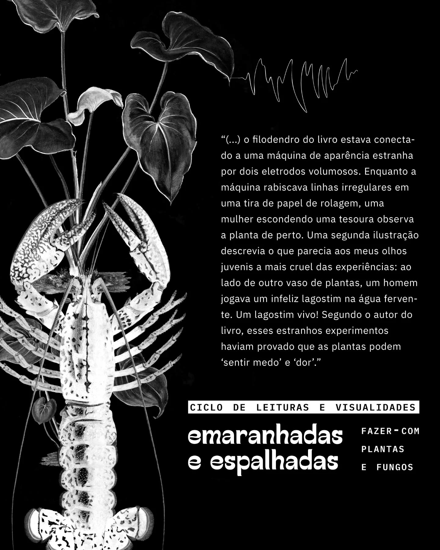 “Quando eu era criança, me ofereceram um livro sobre florestas. O livro estava repleto de ilustrações coloridas: algumas eram muito intrigantes, afastando-se da representação habitual de silhuetas de árvores e formas de folhas com as quais eu habitualmente me deleitava. Duas imagens em particular chamaram minha atenção errante. A primeira mostrava uma planta de interior em tudo semelhante ao filodendro que minha mãe havia arrumado de maneira estilosa em nossa sala de estar parecida a uma selva. Mas, em vez de ficar quieto ao lado de uma poltrona de veludo, o filodendro do livro estava conectado a uma máquina de aparência estranha por dois eletrodos volumosos. Enquanto a máquina rabiscava linhas irregulares em uma tira de papel de rolagem, uma mulher escondendo uma tesoura observa a planta de perto. Uma segunda ilustração descrevia o que parecia aos meus olhos juvenis a mais cruel das experiências: ao lado de outro vaso de plantas, um homem jogava um infeliz lagostim na água fervente. Um lagostim vivo! Segundo o autor do livro, esses estranhos experimentos haviam provado que as plantas podem ‘sentir medo’ e ‘dor’. Muitos anos depois, nutrida por uma paixão de longa data tanto pelo cinema quanto por tudo o que é vegetal, percebi que a imagem daquele frondoso filodendro plugado em um detector de mentiras evocava muito mais do que um manancial de teses loucas, mas incrivelmente populares, sobre a percepção extra-sensorial de plantas. Numa época em que nossa compreensão da vida e do mundo vegetais está sendo reformulada de forma dramática, quando sabemos que as orquídeas também sofrem de jet lag, a imagem dessa planta plugada exigia tanto uma história do que chamo de ‘planta mediada’, como uma tentativa de queerizar a botânica”.
Trecho de “A planta mediada”, de Teresa Castro*, que leremos junto no ciclo “emaranhadas e espalhadas: fazer-com plantas e fungos", que ocorre de 21 de outubro e 11 de novembro, em quatro sessões online. Para receber o programa completo com mais informações e realizar sua inscrição, escreva para humusidades@gmail.com.
*Link de acesso ao pdf do artigo: https://tinyurl.com/plantamediada
design por @isisdaou