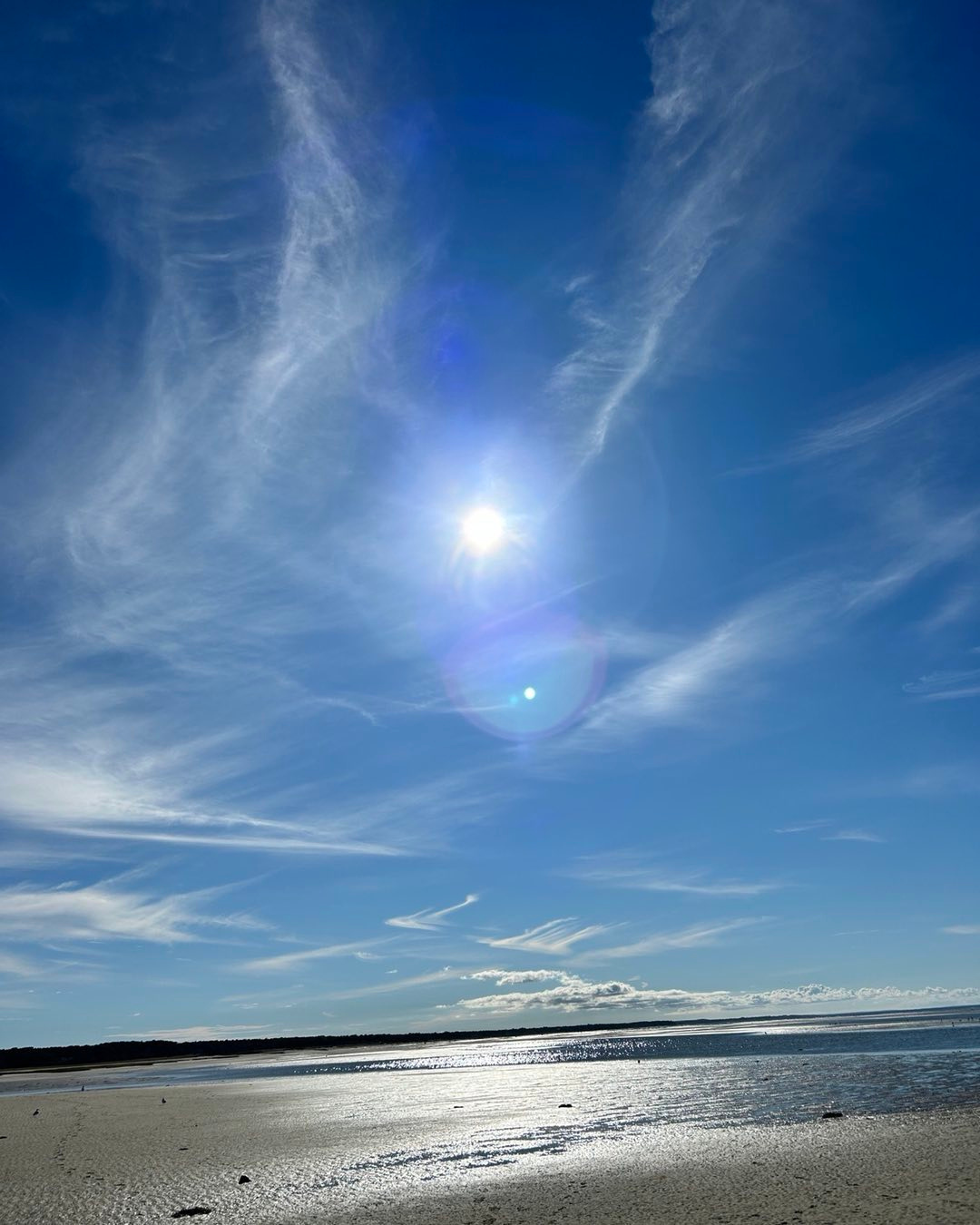 ☀️ Blue skies, salty air, and miles of sand to wander. Cape Cod days just hit different. 🌊✨
#YarmouthCountryCabins #CapeCodLife #BeachVibes #OceanAir #CoastalDays
