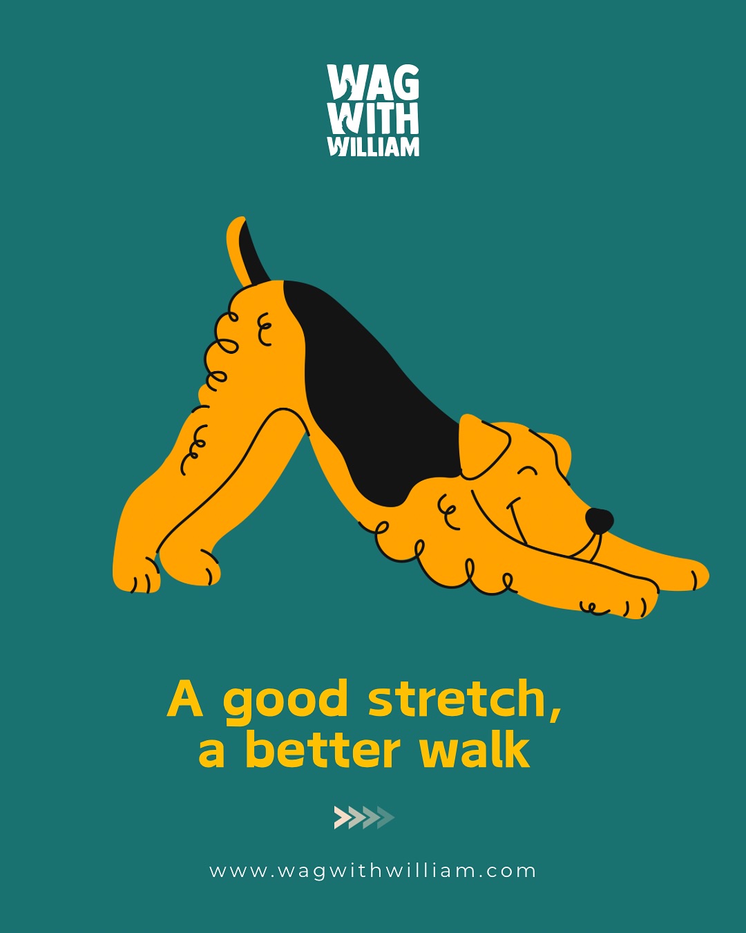 Wake up, wag up, stretch up. ๐ถ๐๐พ #WagWithWilliam #FearFreeTraining #PositiveReinforcement