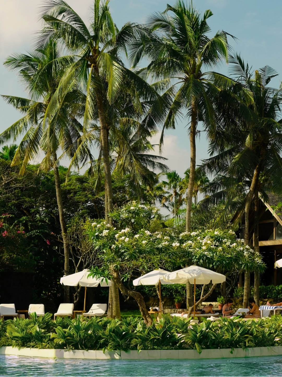 A scene curated with soft light and crisp drinks.
This is the only tempo that matters at Sunset Beach by Mrs. Sippy.