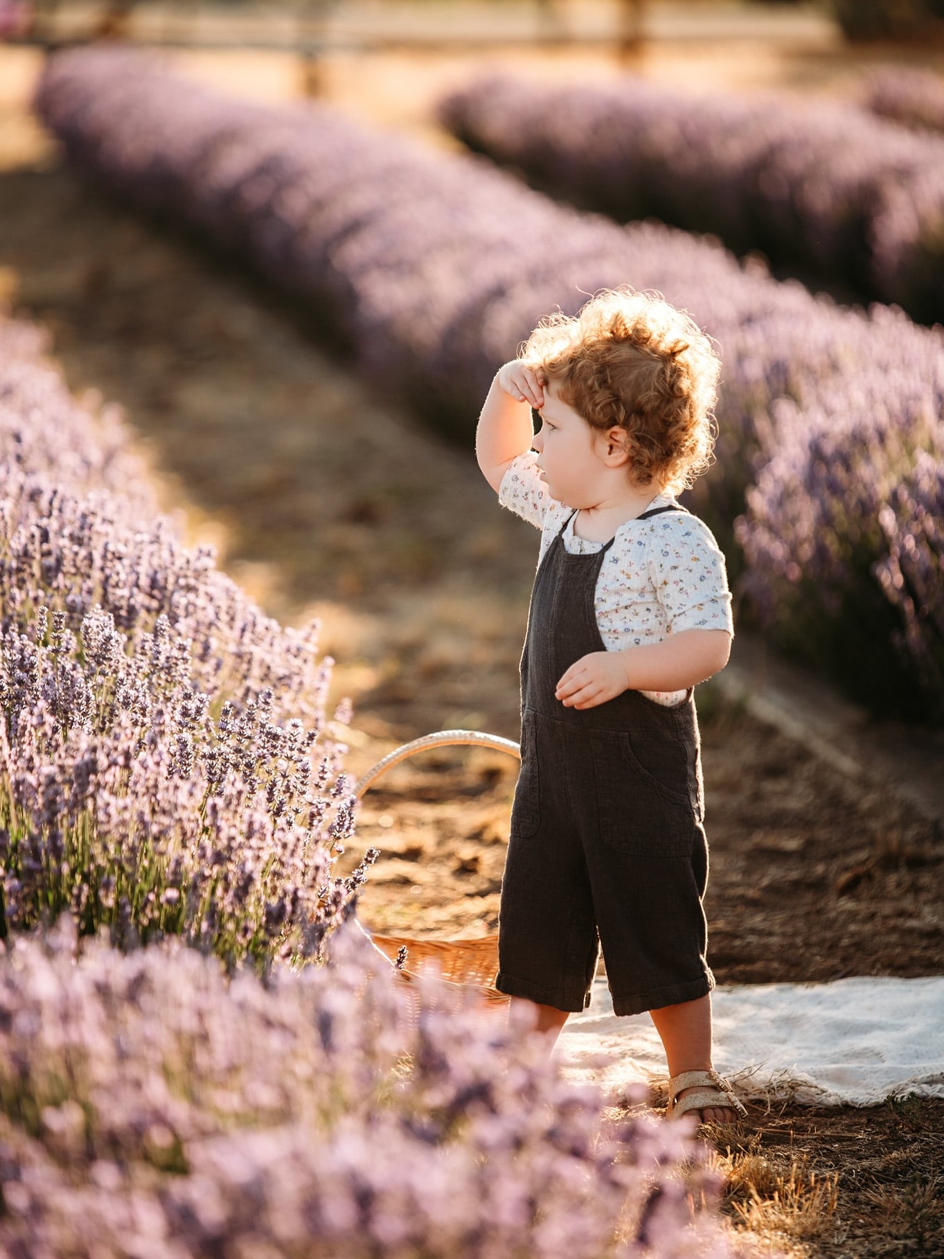 Following a child’s direction and capturing them in the moment is one of my favorite ways to document a family.
#familyphotographyboise #boisefamilyphotographer #familyportraits