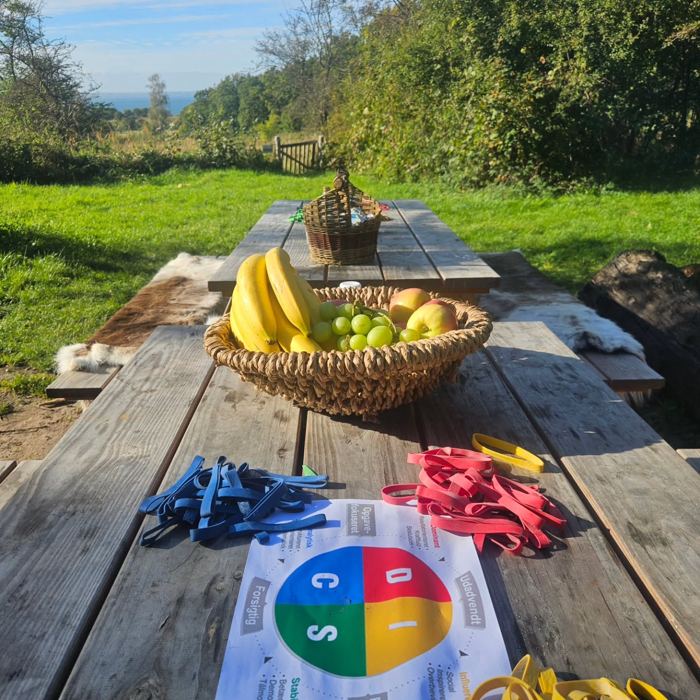 Company event today in unbelievable October weather ☀️
#Bushcraft #companyevent #discprofile #teambuildingevents #teambuilding #primitiveskills #firmaevent #goodtimes #nature #wildernessskills #friluftsliv #udeliv #keepitsimple #bushctafteurope #bushcraftdanmark