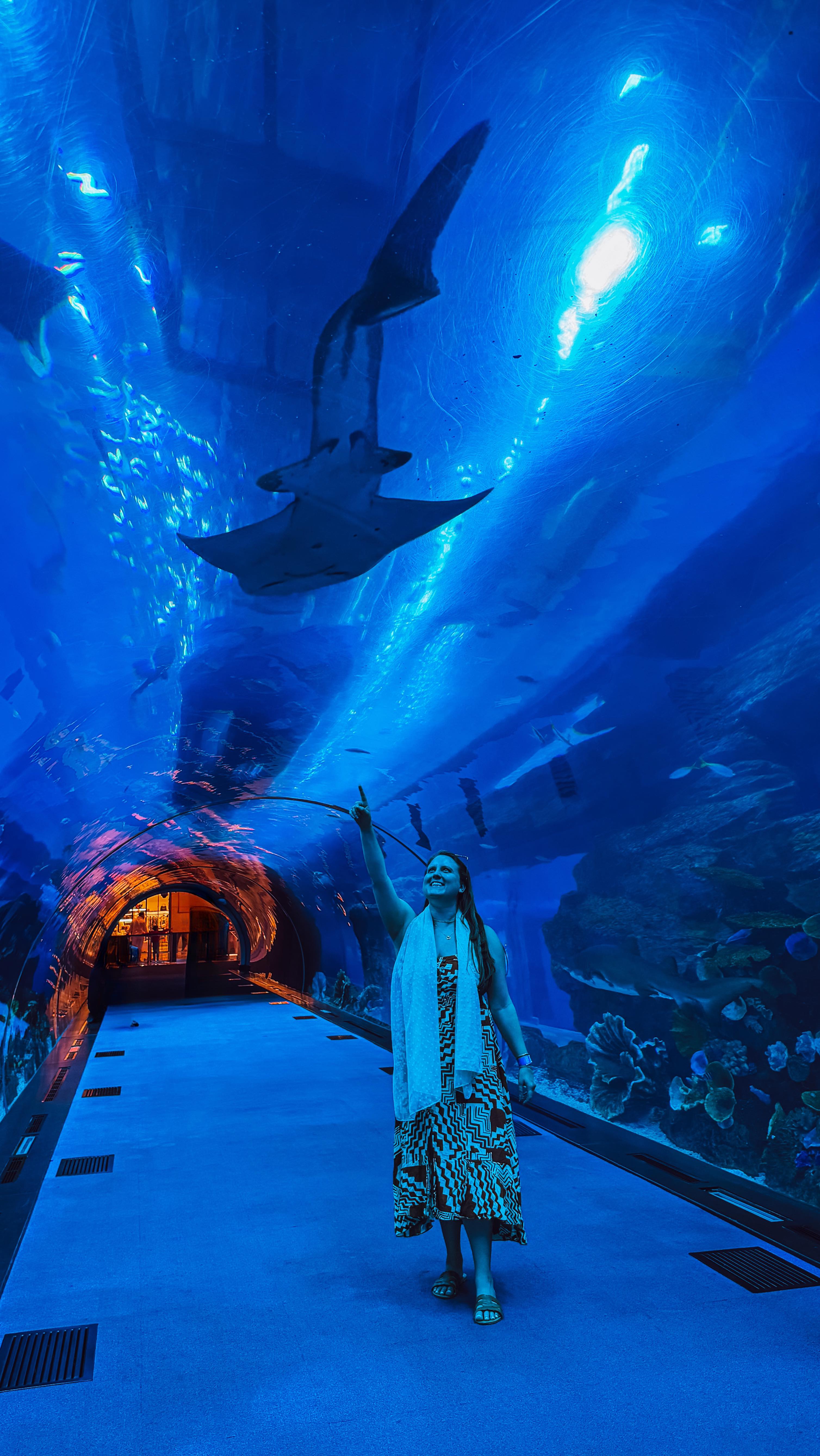 Why you should add the Dubai Aquarium to your travel bucket list
If you’re visiting Dubai, the aquarium inside the Dubai Mall is something you don’t want to skip. It’s one of the largest suspended aquariums in the world, and you can actually walk through a glass tunnel surrounded by sharks, rays, and thousands of other sea creatures swimming right above you.
The tunnel was definitely my favorite part because it gives you the feeling that you’re looking at the wildlife from inside the ocean, without having to dive!
There’s also a second level with the Underwater Zoo, where you can see penguins, crocodiles, and jellyfish up close. The whole place is massive and really well done. I honestly can’t believe the whole thing is in the middle of a shopping mall. Definitely worth adding to your Dubai travel plans!
Follow @unchartedwanderings for more Dubai content!
#vacation #travelblogger #travelblog #traveltheworld #traveling #traveler #solotravel #sheisnotlost #traveltips #solofemaletraveler #travelinspiration #travelhacks #travelagent #traveladvisor #vacationplanning #travelplanner #travelagency #luxurytravel #travelagents #travelexpert #travel #beautifulplaces
#burjkhalifa #dubai #dubai🇦🇪 #uae🇦🇪 #dubaimarina #visitdubai #dubaiaquarium #dubaimall