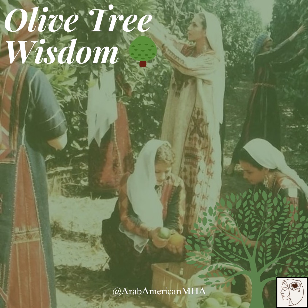The olive tree has always been a symbol of peace, strength, and resilience, and it carries lessons that reflect the Arab American experience.
Our roots give us strength. Even when far from home, we carry generations of resilience and identity that ground us. Research shows that holding onto our cultural heritage protects our mental health, especially when facing discrimination or isolation.
Like branches, we grow in new directions. Balancing two worlds, our traditions and the culture around us, teaches us flexibility, adaptability, and strength. Growth doesn’t mean losing our roots; it means expanding from them.
Just like olive trees that survive droughts and still bear fruit, healing takes time. There are pauses, setbacks, and seasons of regrowth, but resilience endures.
Our mental health journeys, like the olive tree, remind us that even after the hardest storms, growth always returns.
#aamha #arabamericanmentalhealth #mentalhealthmatters #endthestigma #arabs #psychology #therapy #mentalhealth #culture #culturalcompetence #arabamerican #olive #olivetree #roots