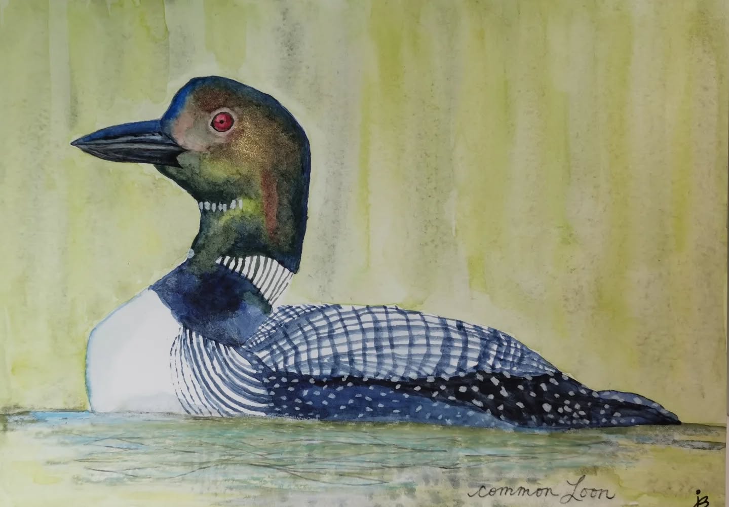 Common Loon
Day 7 #Birdtober2025 #birdtober
This year I'm using watercolor, neocolors II, pencil crayons, charcoal, and gelly roll pens. Whatever floats my 🐦
I'm working on Clairefontaine watercolor paper 5.8x8.3" (A5) cold press paper.
@aholmesartstudio #ilovebirds #bird #birdartist #birdart #birddrawing #birdpainting #birdillustration #birdnerd #birbs #painting #drawing #illustration #birdchallenge #watercolorart #watercolorpainting #pencilsketch #fabercastell #clairefontainepaper