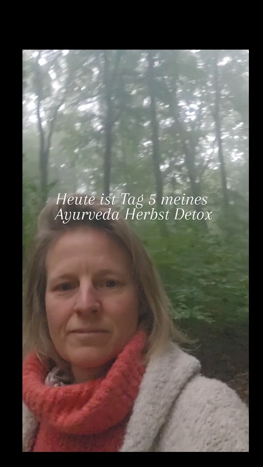 Heute ist Tag 5 meiner Ayurveda Detox Kur. Absolutes Selfcare und Selbstliebe 🧡 und jetzt im Herbst der perfekte Zeitpunkt, um den Vata Energie zu balancieren und vom Sommer erhöhtes Pitta auszuleiten
Ruft es dich auch nach sanftem Detox und Rebalance? Kontaktiere mich gern, wenn du dir Unterstützung wünschst. Ein Programm in 3 Phasen mit Vorbereitung, Entlastung und Aufbau.
Alles liebe deine Tina 🧡
#Ayurvedadetox #ayurvedakur #herbstkur #vatabalance #ayurvedalife
#ayurvedahealing
