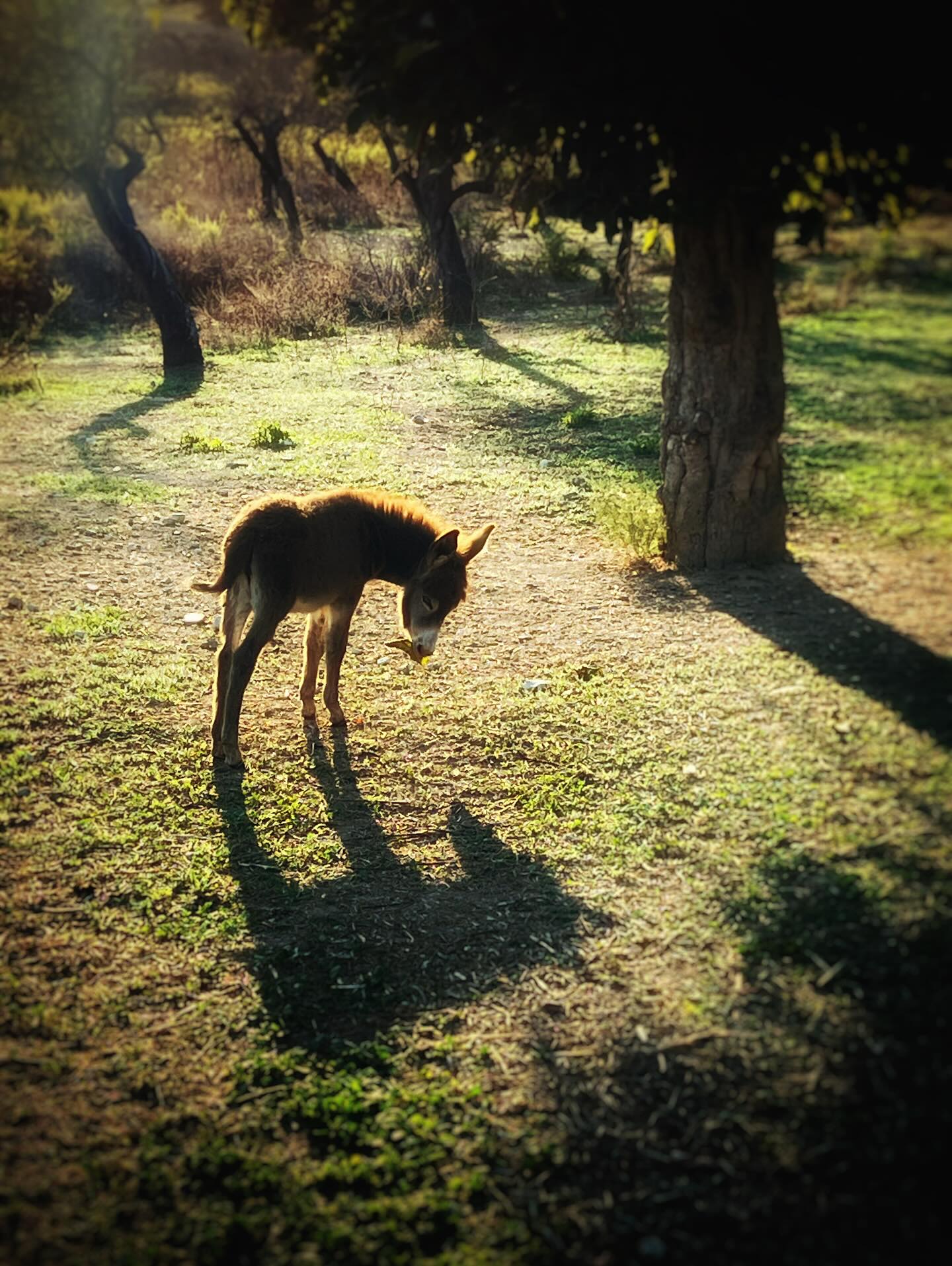 New baby next door. Too cute!!!! 🥰