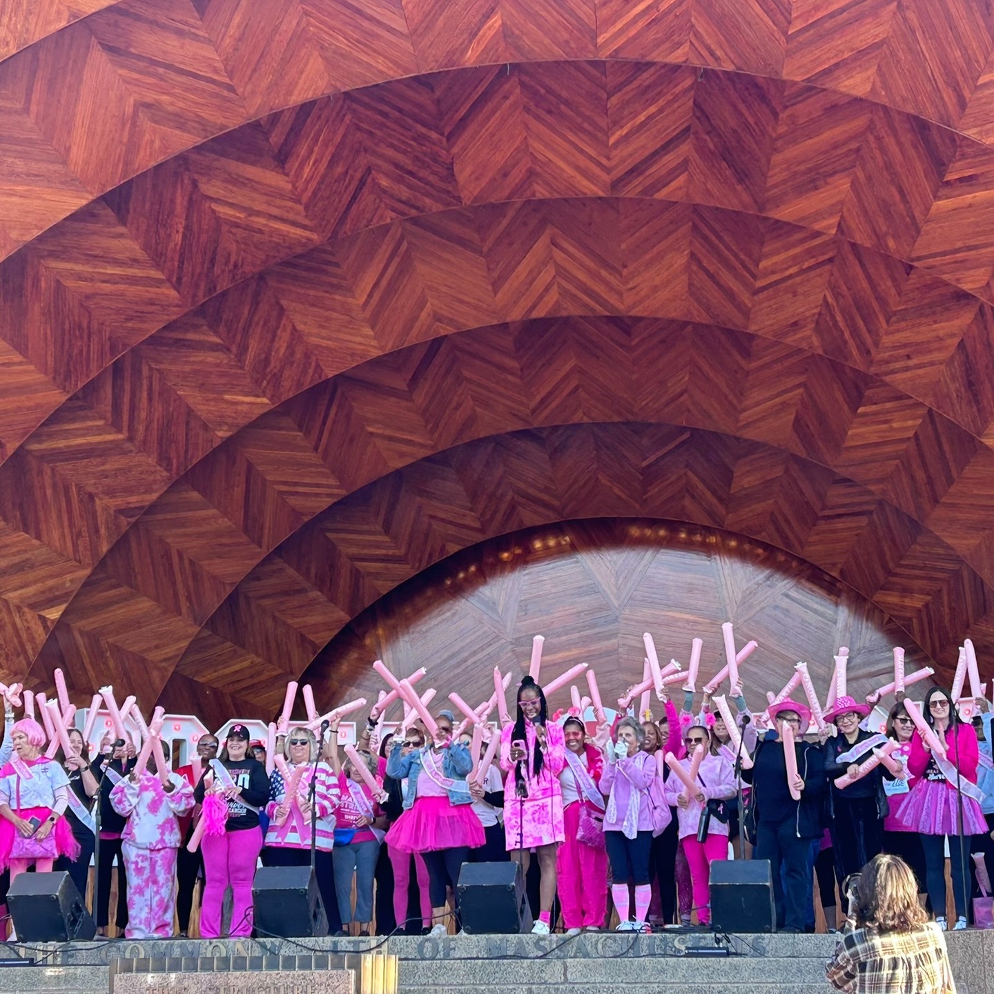 We do this for our Survivors, Thrivers and Caretakers donate to our Boston AKAs and Friends Team- http://main.acsevents.org/goto/BostonAKAs