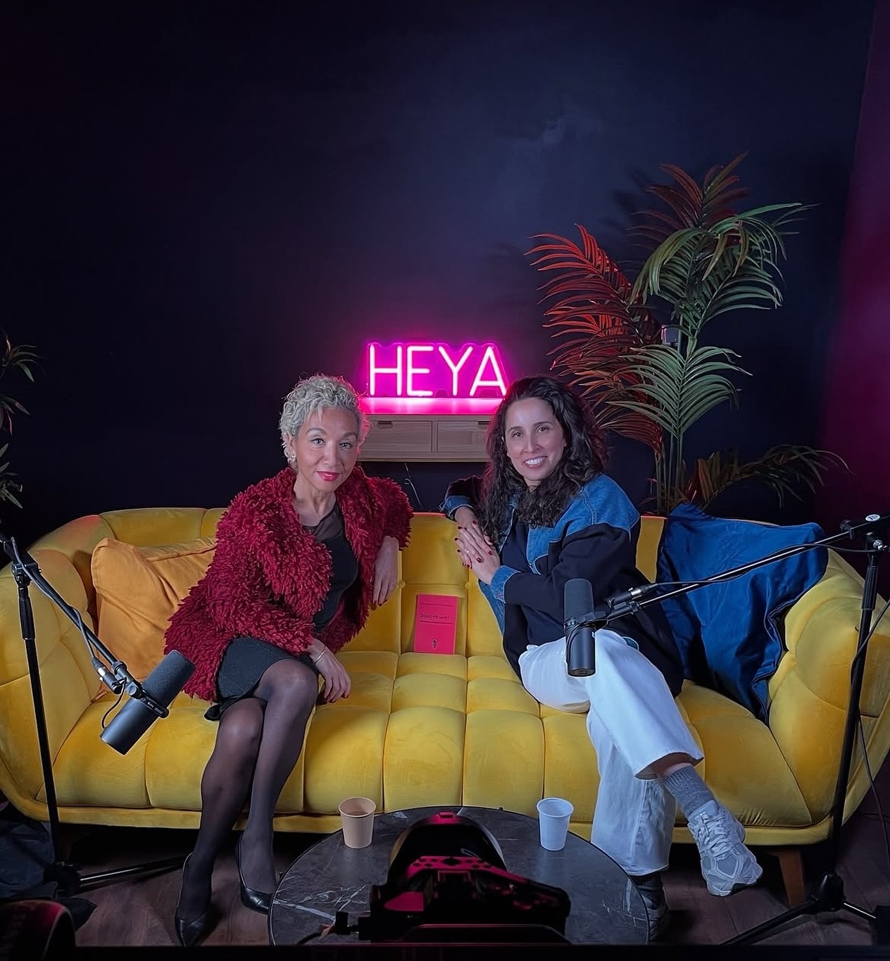 ✨ « Pourquoi nos enfants ont besoin de modèles qui leur ressemblent ? »
C’est la question que j’ai posée à Fatma Bouvet de la Maisonneuve, psychiatre et autrice de « Debout tête haute, manifeste pour répondre au racisme.»
Dans ce nouvel épisode, on parle de transmission, de représentations et de l’importance pour tous les enfants de grandir avec des récits pluriels.
👉 C’est exactement le but de mon nouveau projet de collection de livres Heya Jeunesse : offrir aux enfants des héroïnes issues de nos histoires, pour inspirer, donner confiance et ouvrir à la diversité.
📚 Plus que 5 jours pour soutenir et précommander ce premier livre 💜
🎧 L’épisode est en ligne sur toutes les plateformes, et le lien pour soutenir est en bio !
Merci @bouvetdelamaisonneuve pour tout ton engagement et ton travail tellement utile ❤️