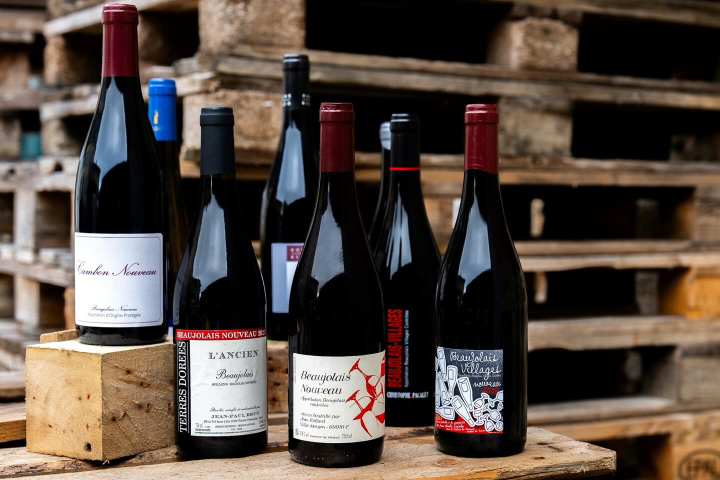 À la Maison Billard, le Beaujolais nouveau c’est important, mais le Beaujolais tout court, c’est primordial !
Gros formats, millésimés affinés, ici ça fait longtemps que l’on se passionne pour le gamay et les artisans vignerons qui sont derrière.
Vous souhaitez mettre davantage en avant cette région ? Profitez de l’actualité du Beaujolais nouveau pour développer votre offre, et de notre passion & expertise pour cette région — parlons-en ensemble ! 📞
📸 @_leboncliche
#beaujolais #beaujolaiswine #beaujolaisnouveau #maisonbillard #marchanddevin #agentdevignerons #denicheursdevin