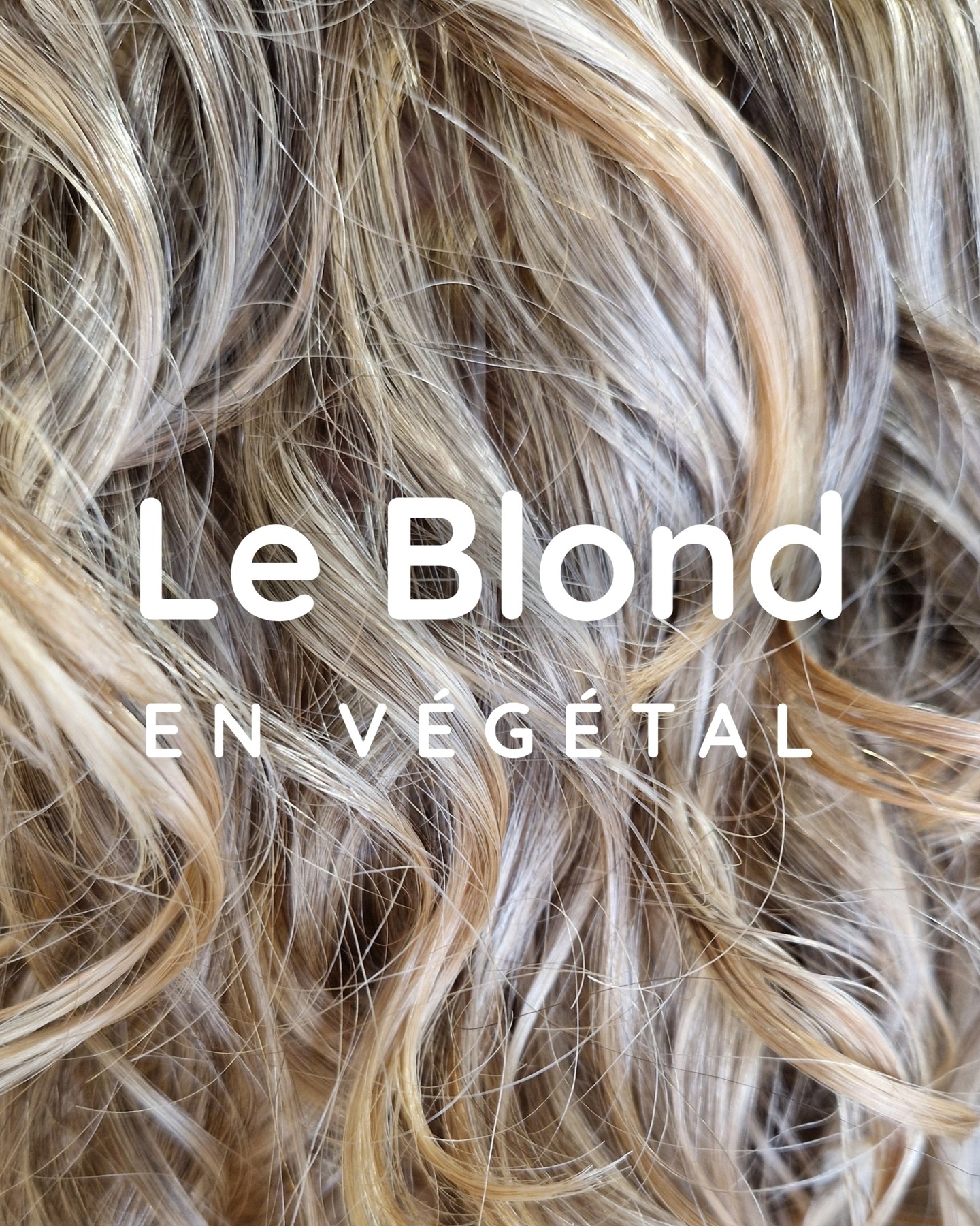 ✨ La magie du végétal ...
Ce superbe blond lumineux est rendu possible grâce à un fort pourcentage de cheveux blancs et l’alliance de plantes choisies pour apporter contraste et éclat !