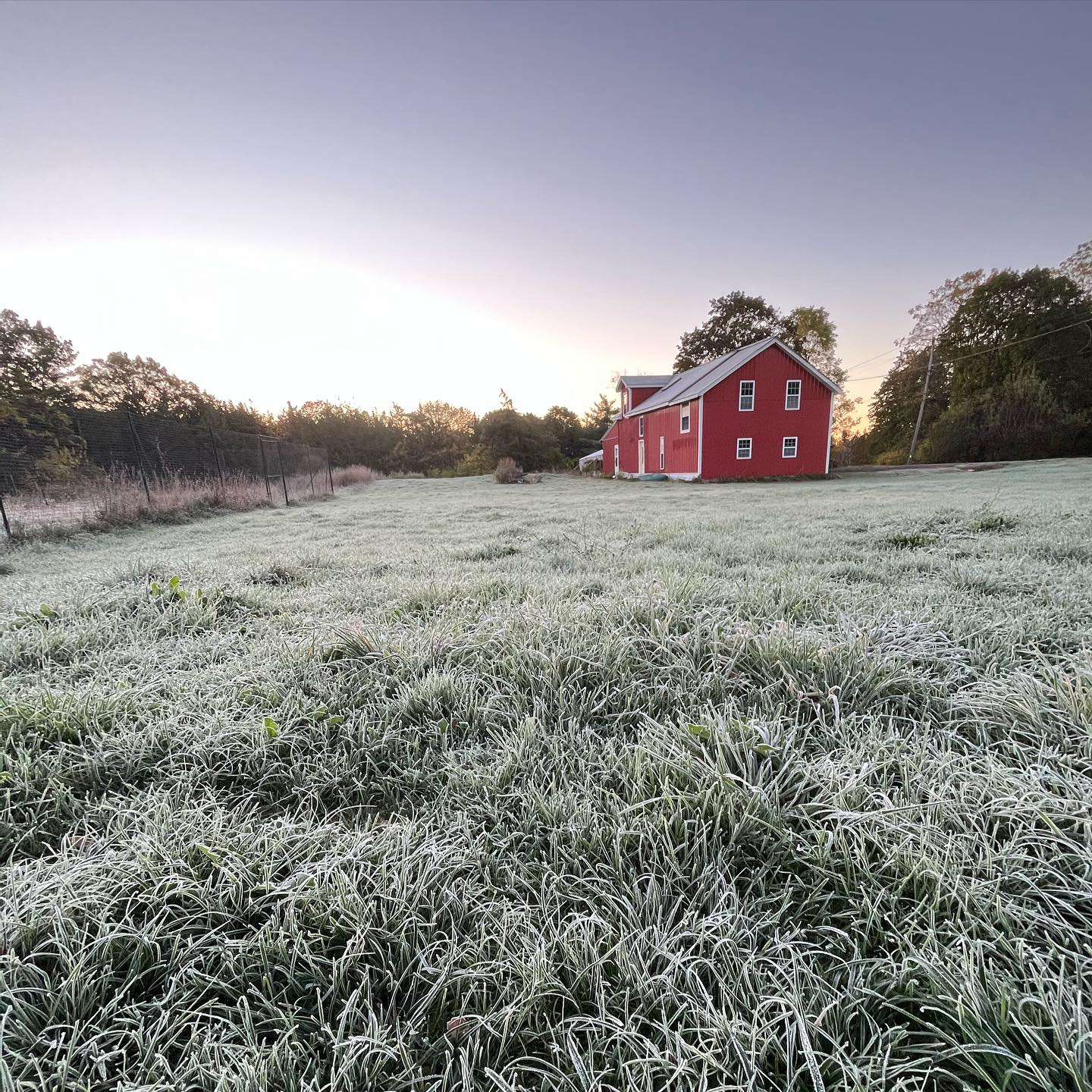Last year, on this date, we were preparing for our move Upstate. Nearly a year later, I came out this morning to a snowbow (snow rainbow) over our farm (rather than light being refracted through water, it’s refracted through snow droplets, leading to its more muted, “frosty” colors).
We saw the aurora borealis during the drive Upstate the night before we moved to the farm. Then, with the previous owners, we saw a rainbow over the field. My need for some semblance of order in the universe takes them all as a sign of change.
And, the field is different today than we left it yesterday. Frozen. The many dahlia buds on the plants have, quite literally, been nipped. Bees who had taken respite under many blooms (second photo) will be cut back with the plants and transformed, placed with some reverence over the compost pile. They brought a tear to my eyes, but we’ll use their tiny bodies well.
Yesterday, we picked thousands of blooms. We celebrate that. And now, we move to the next phase of our first growing season: digging up dahlia tubers, diving and storing them, preparing rows (in and out of the high hoop house — yes, with plenty of broadforking!), planting 100 peonies, and many other big tasks.
It’s all good. What a year. Thanks, universe.
#firstfrost
#snowbow
#rainbow
#dahlias
#dahlia
#bee
#compost
#newbeginnings